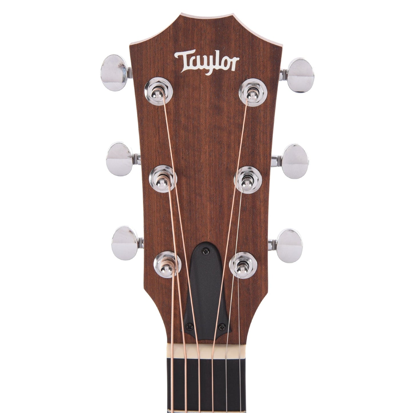 Taylor BBTe Walnut Top ES-B Acoustic Guitars / Mini/Travel