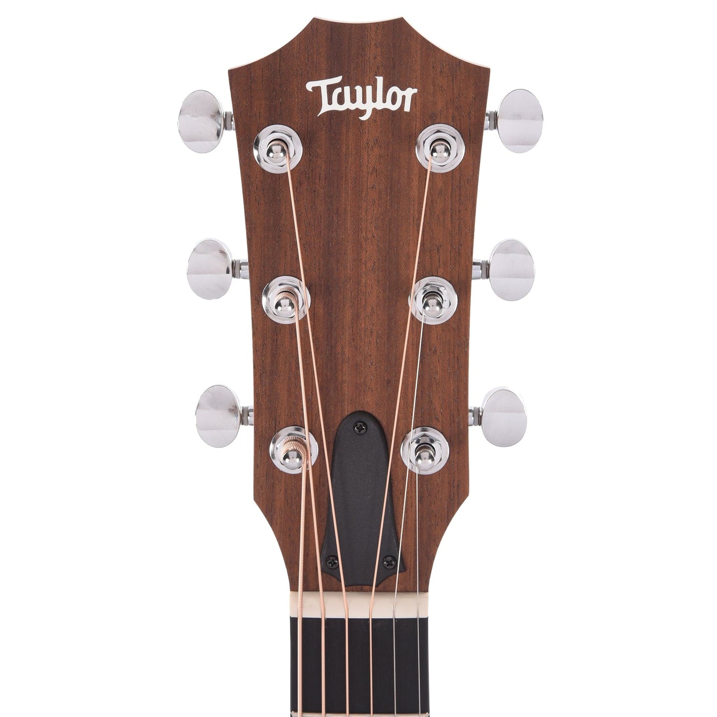 Taylor Big Baby Taylor Walnut Top Acoustic Guitars / Mini/Travel