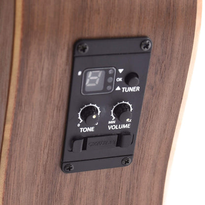 Taylor BT1-e Walnut w/ESB Acoustic Guitars / Mini/Travel