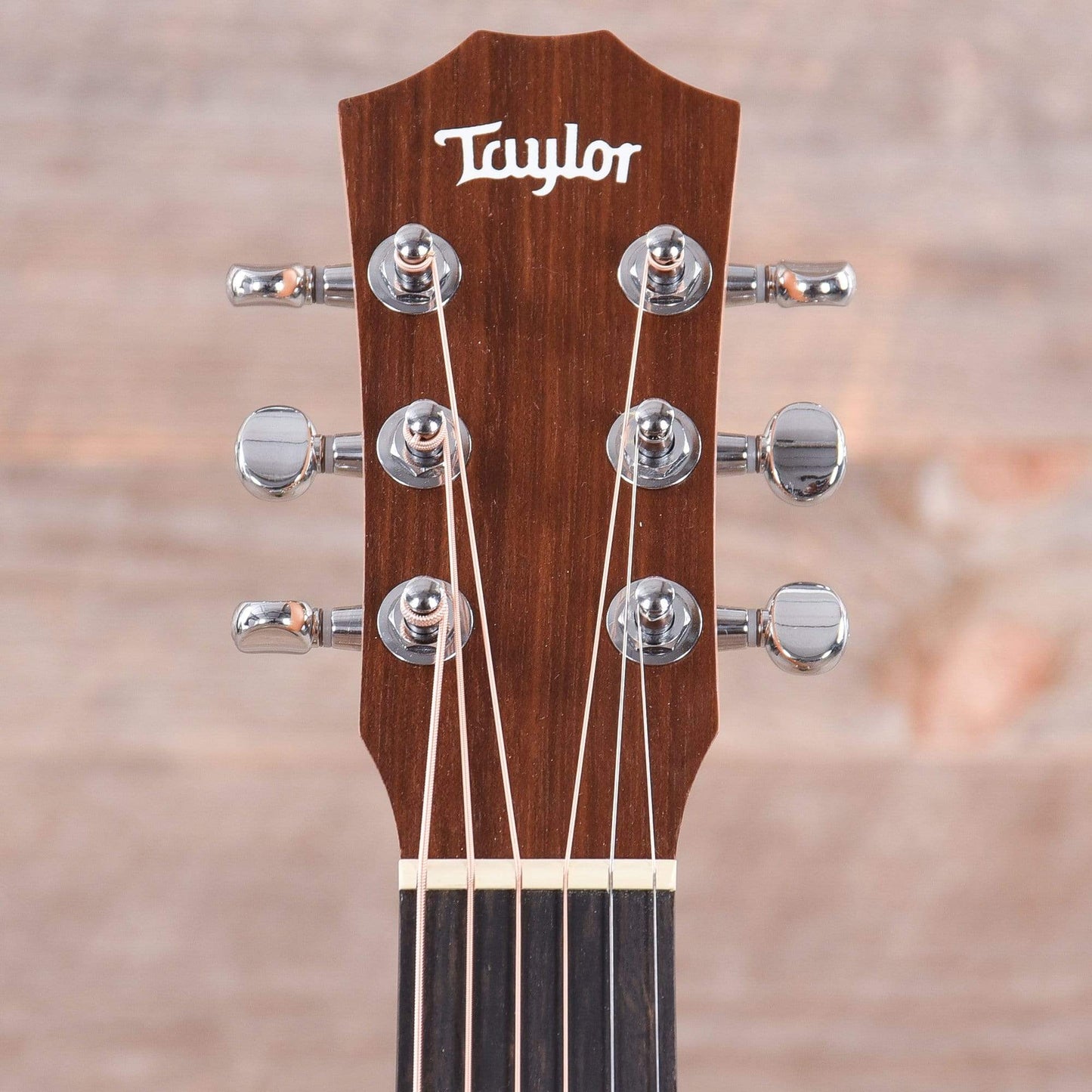Taylor BT1-e Walnut w/ESB Acoustic Guitars / Mini/Travel