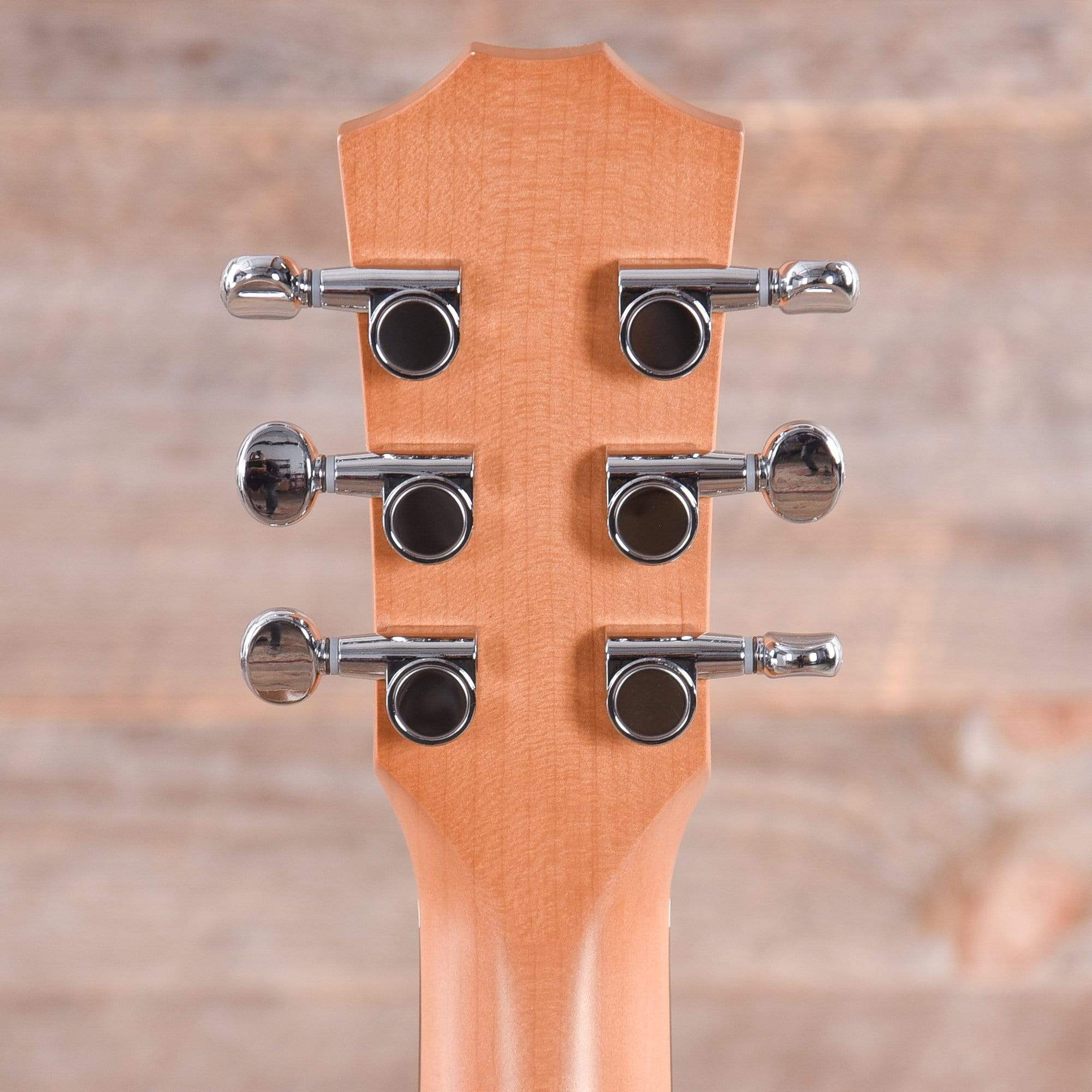 Taylor BT1-e Walnut w/ESB Acoustic Guitars / Mini/Travel