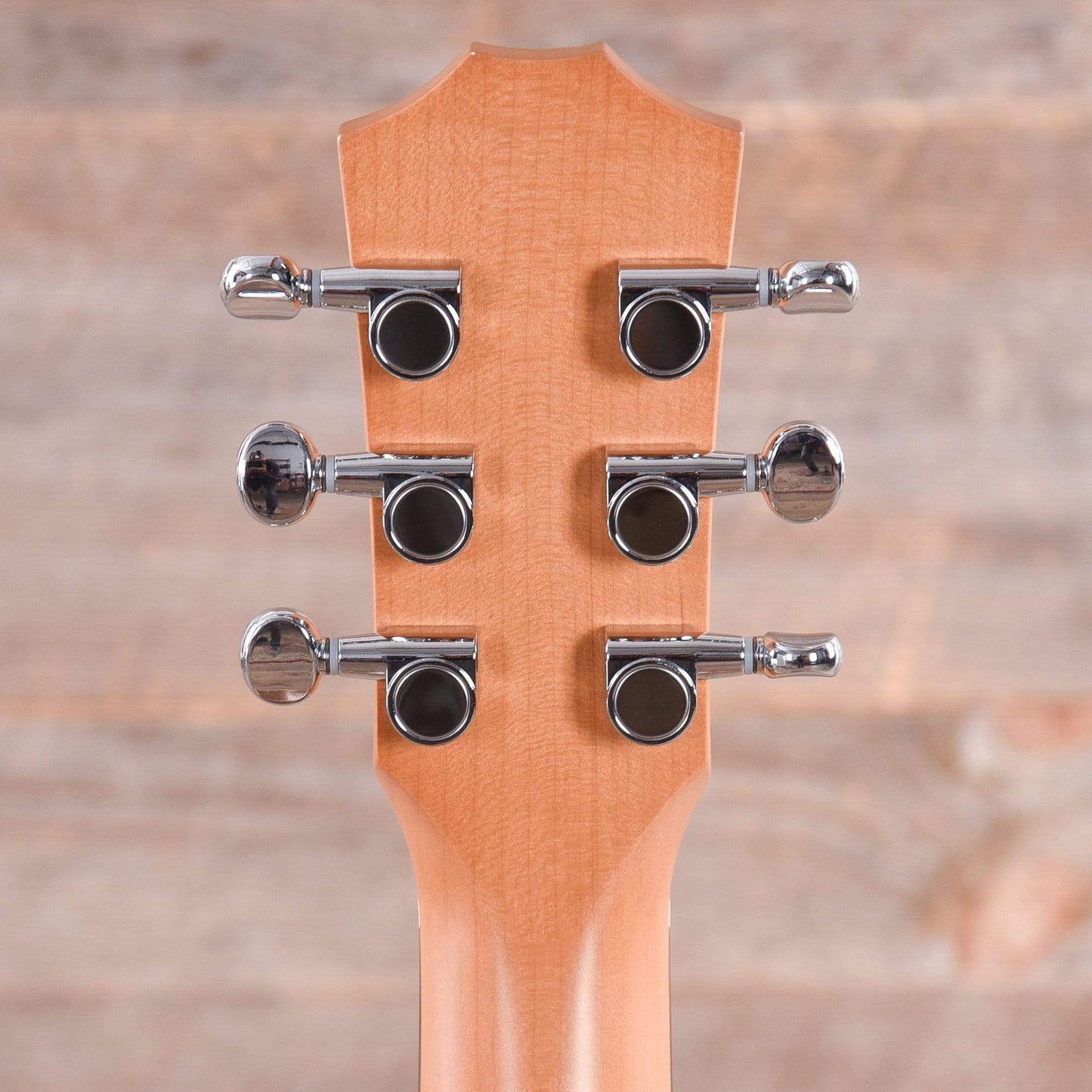 Taylor BT1-e Walnut w/ESB Acoustic Guitars / Mini/Travel