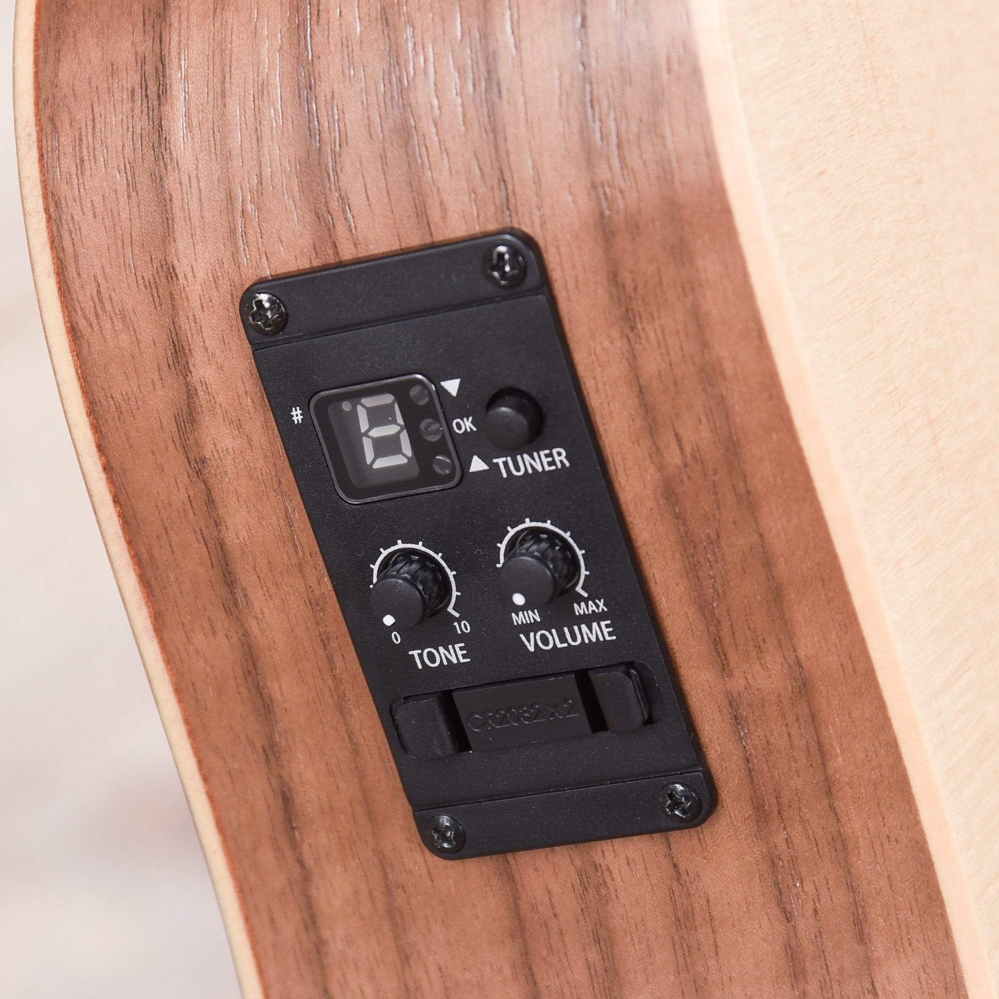 Taylor BT1-e Walnut w/ESB Acoustic Guitars / Mini/Travel