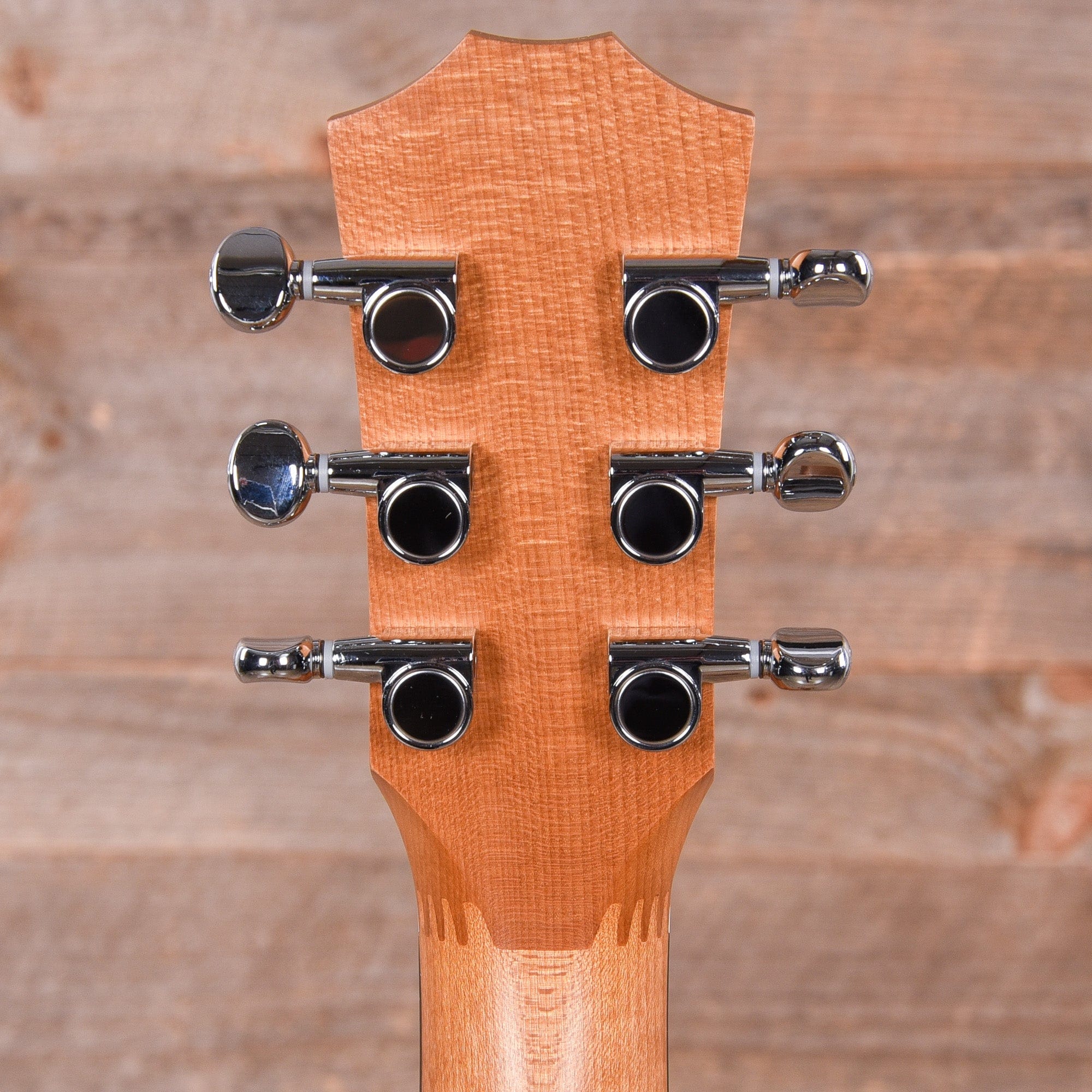 Taylor BT1 Walnut Acoustic Guitars / Mini/Travel