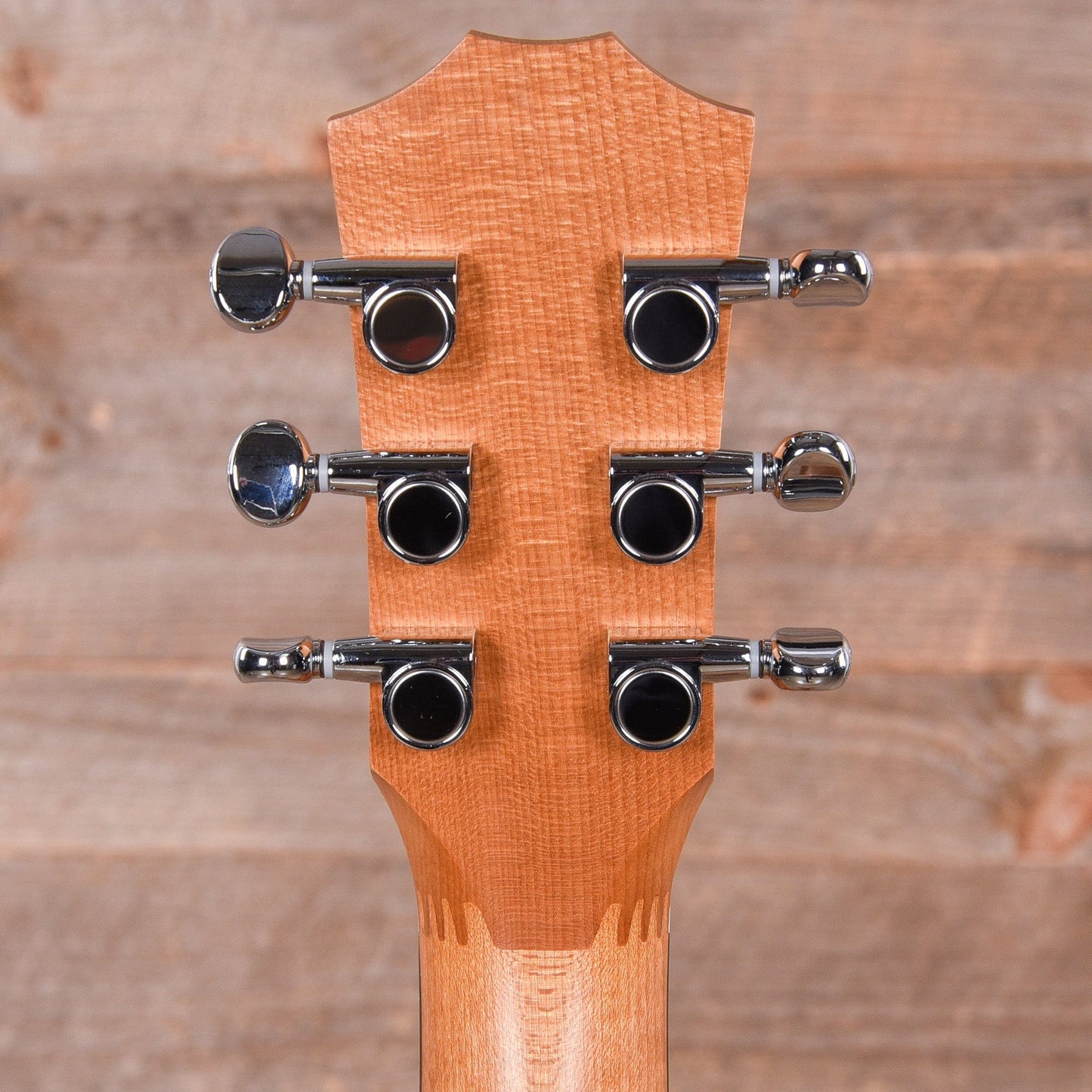 Taylor BT1 Walnut Acoustic Guitars / Mini/Travel