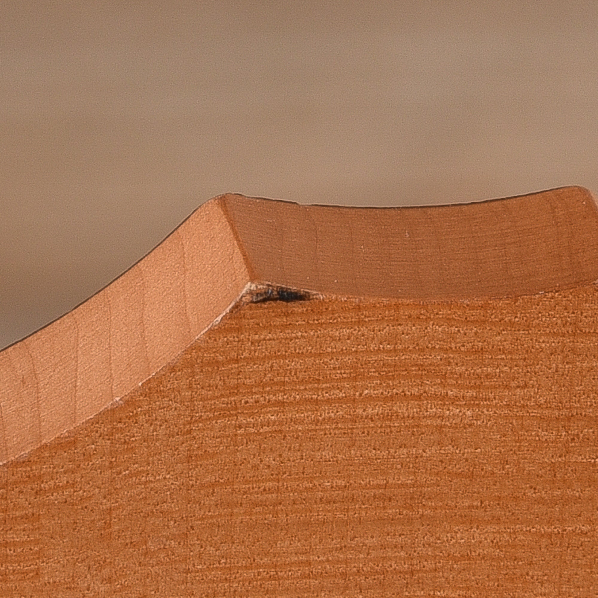 Taylor BT1 Walnut Acoustic Guitars / Mini/Travel