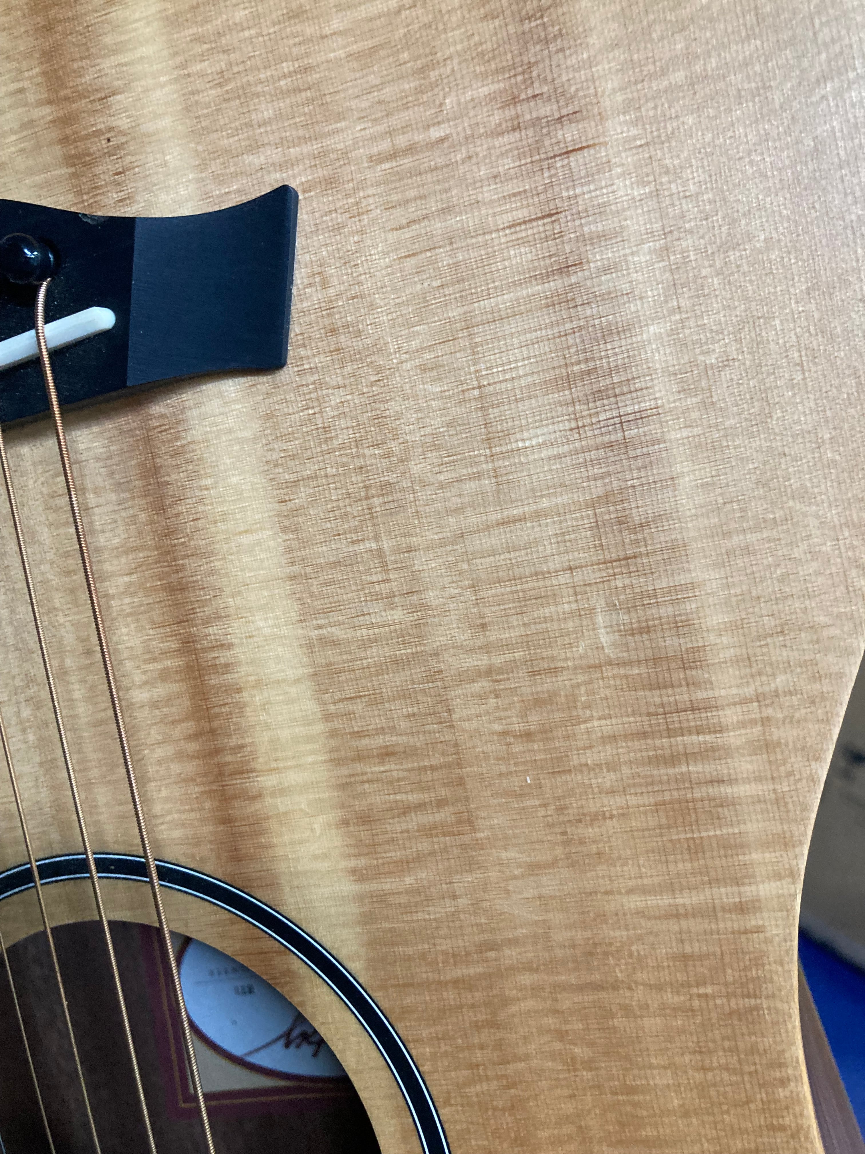 Taylor BT1 Walnut Acoustic Guitars / Mini/Travel