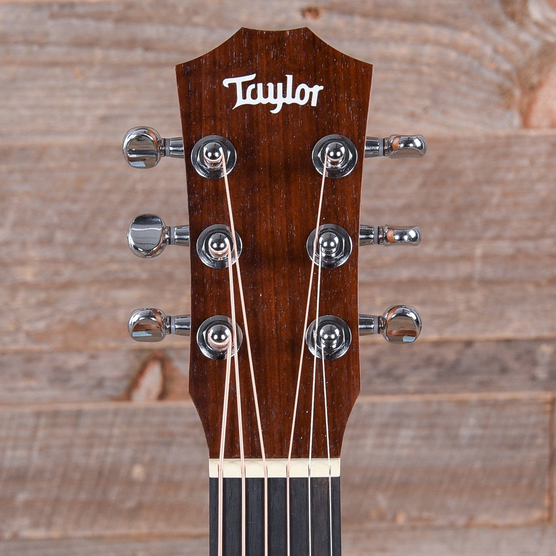 Taylor BT2e Natural w/ES-B & Gig Bag Acoustic Guitars / Mini/Travel