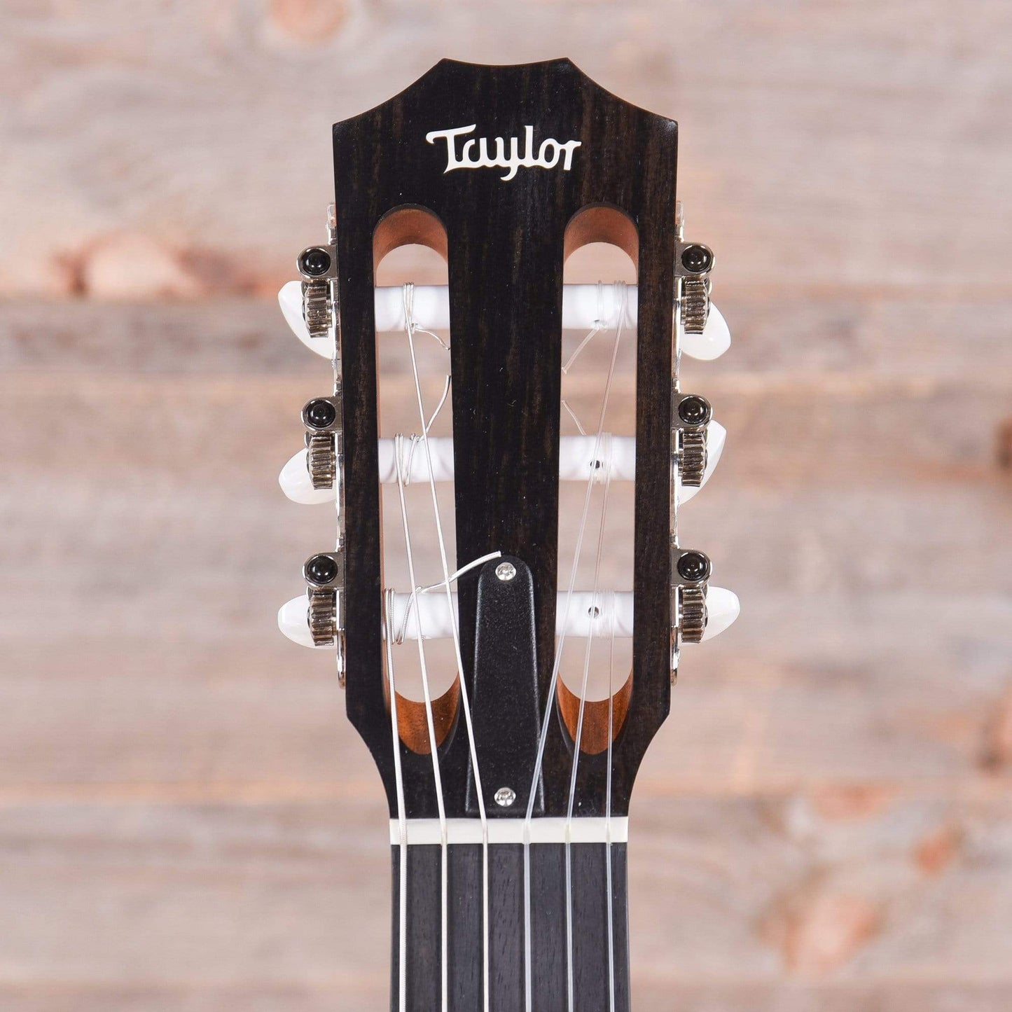 Taylor 114ce-N Grand Auditorium Nylon Sitka/Walnut Natural ES-N Acoustic Guitars / OM and Auditorium