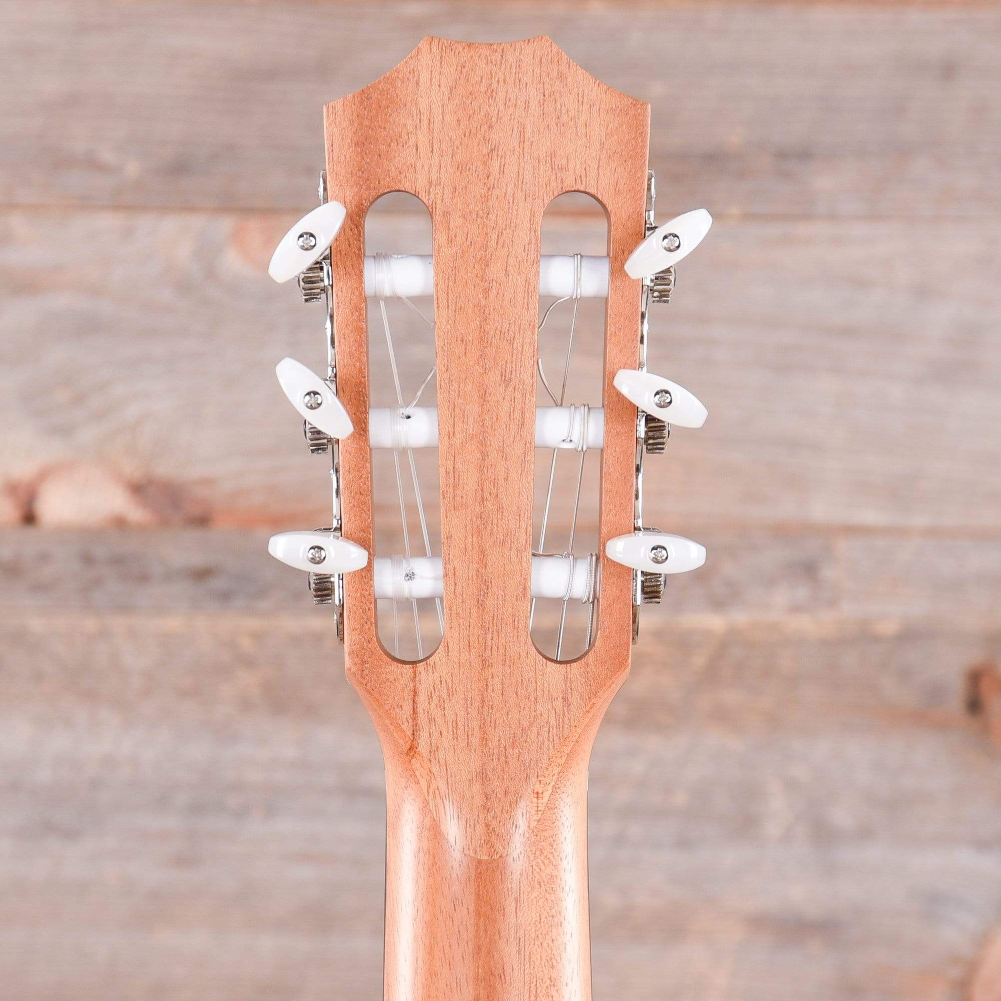 Taylor 114ce-N Grand Auditorium Nylon Sitka/Walnut Natural ES-N Acoustic Guitars / OM and Auditorium