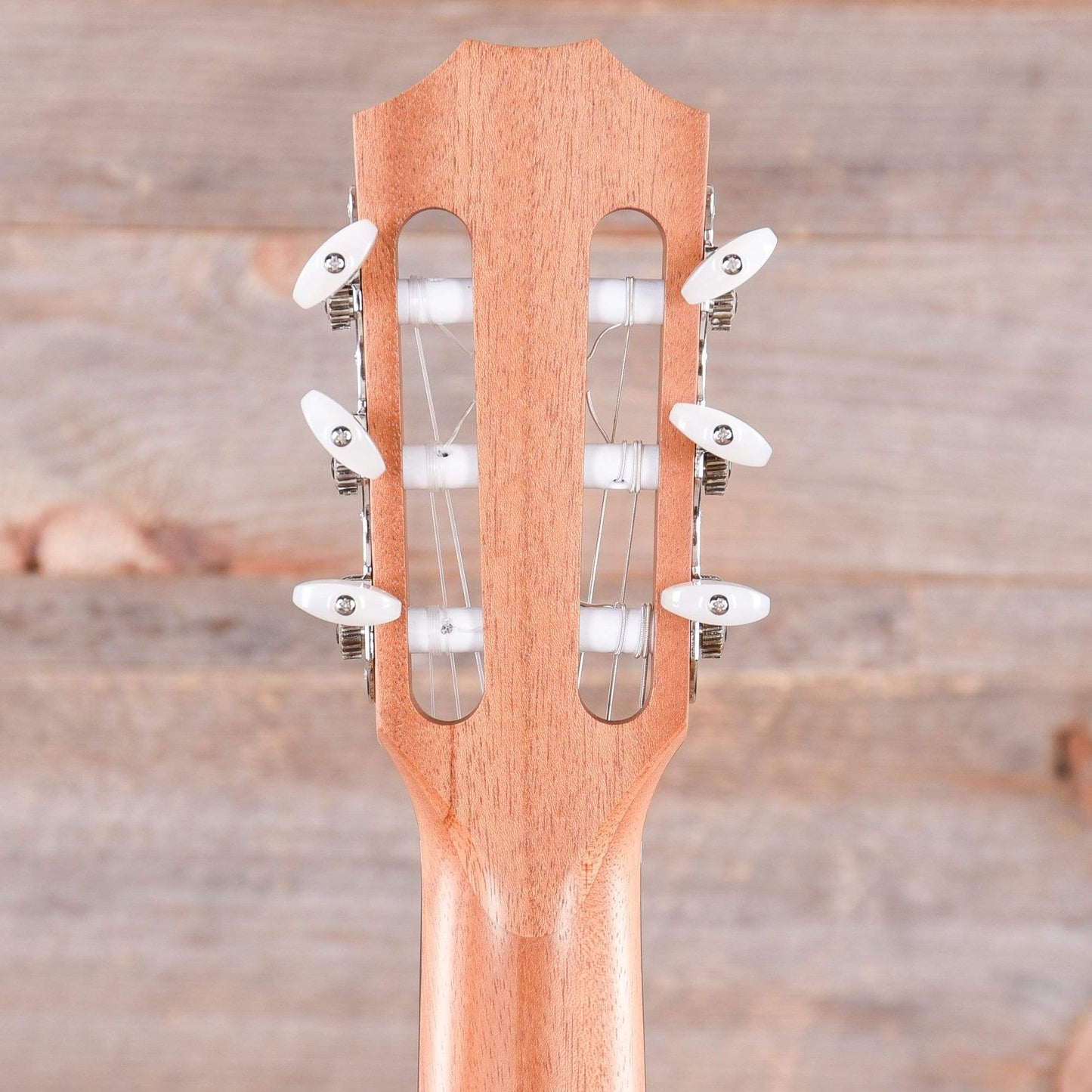 Taylor 114ce-N Grand Auditorium Nylon Sitka/Walnut Natural ES-N Acoustic Guitars / OM and Auditorium