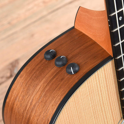 Taylor 114ce-N LTD Grand Auditorium Sitka/Ovangkol Nylon Natural ES2 Acoustic Guitars / OM and Auditorium