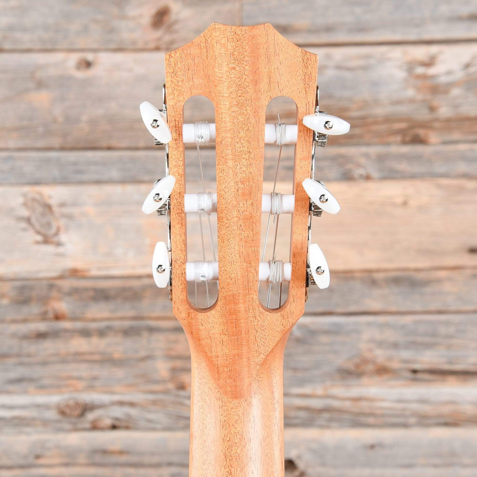 Taylor 114ce-N LTD Grand Auditorium Sitka/Ovangkol Nylon Natural ES2 Acoustic Guitars / OM and Auditorium