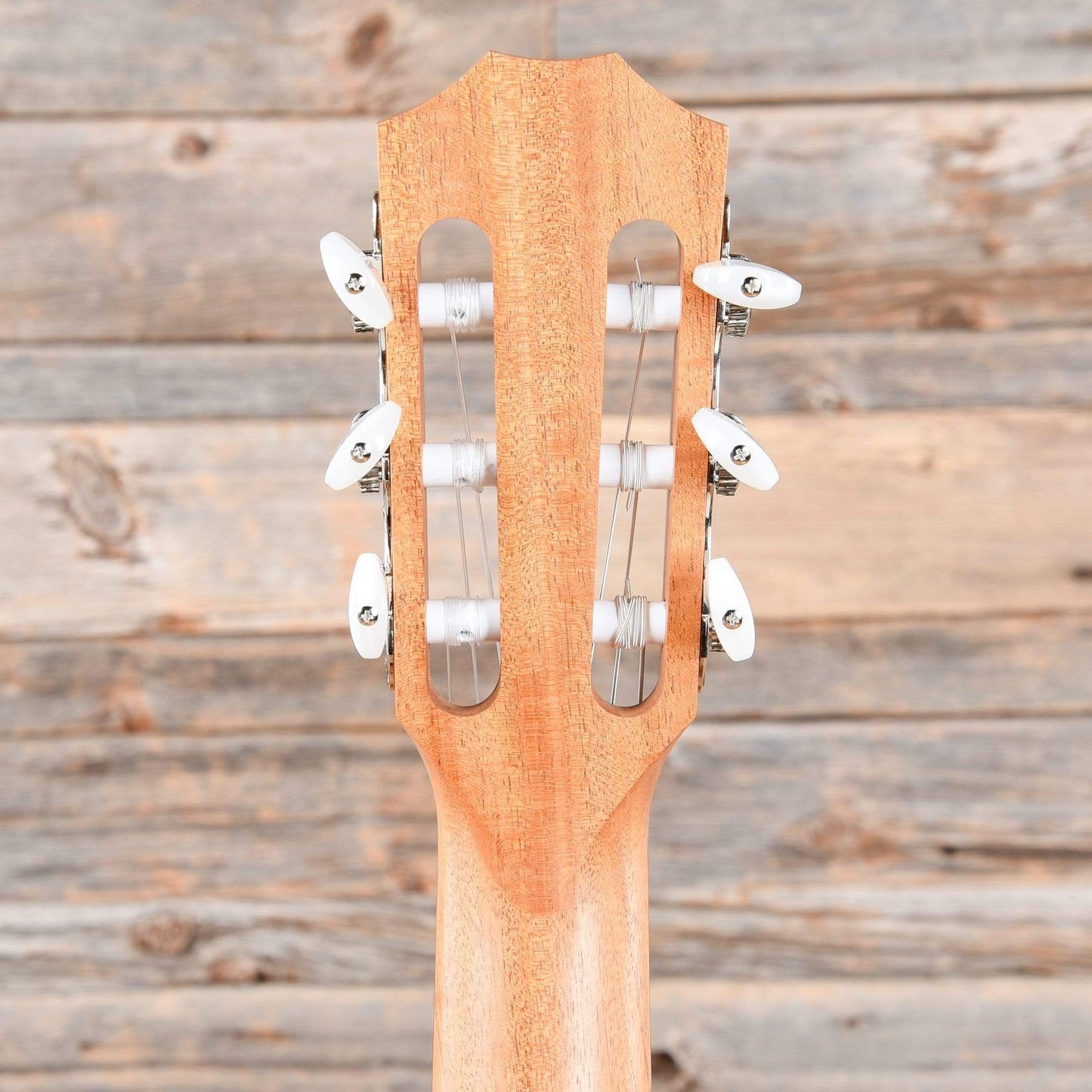 Taylor 114ce-N LTD Grand Auditorium Sitka/Ovangkol Nylon Natural ES2 Acoustic Guitars / OM and Auditorium