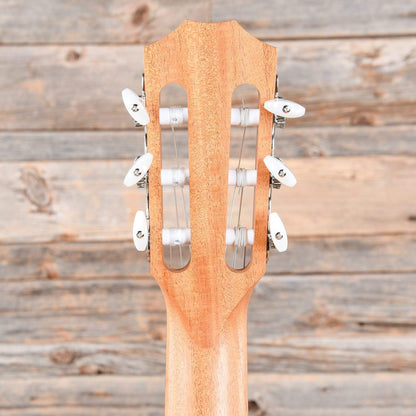 Taylor 114ce-N LTD Grand Auditorium Sitka/Ovangkol Nylon Natural ES2 Acoustic Guitars / OM and Auditorium