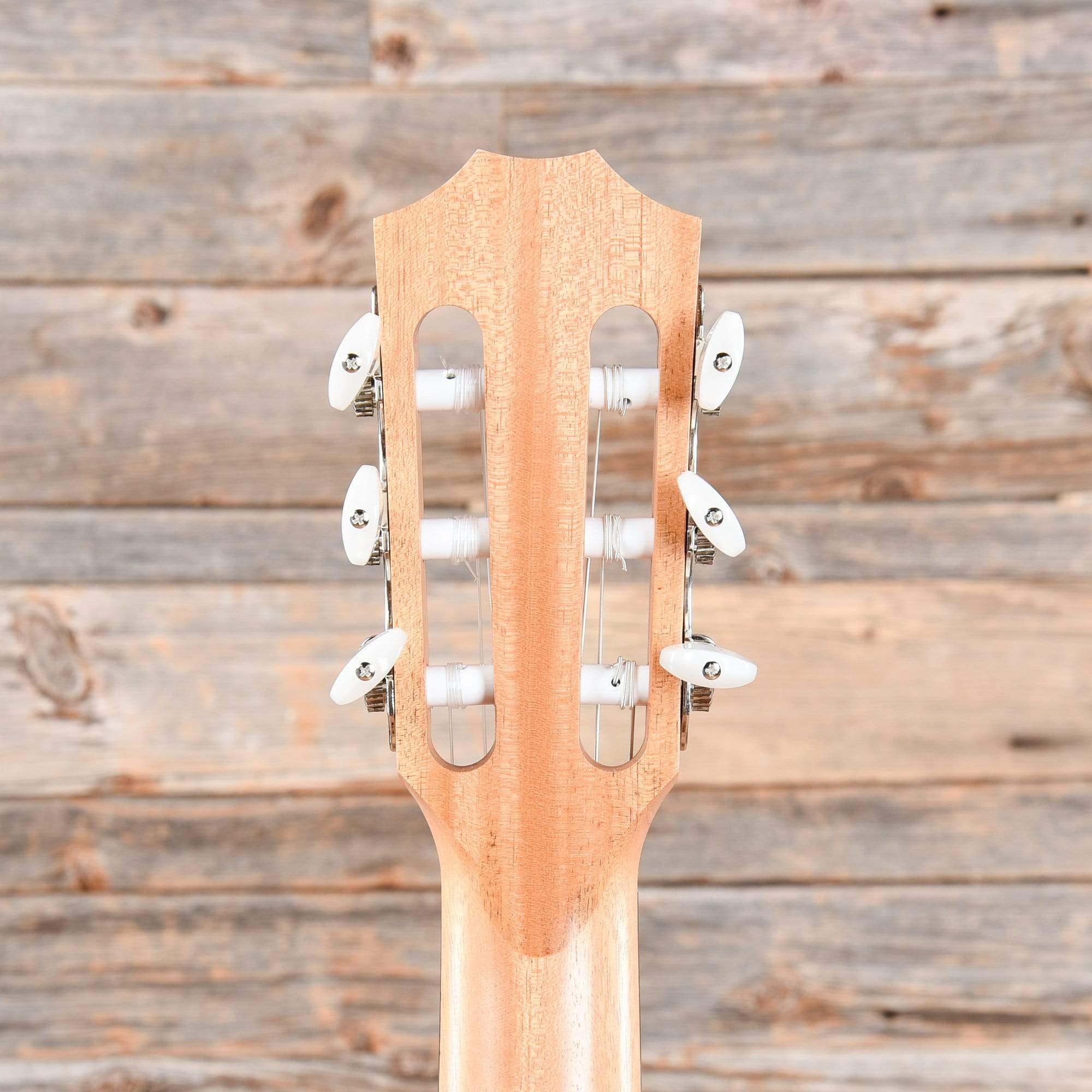 Taylor 114ce-N LTD Grand Auditorium Sitka/Ovangkol Nylon Natural ES2 Acoustic Guitars / OM and Auditorium