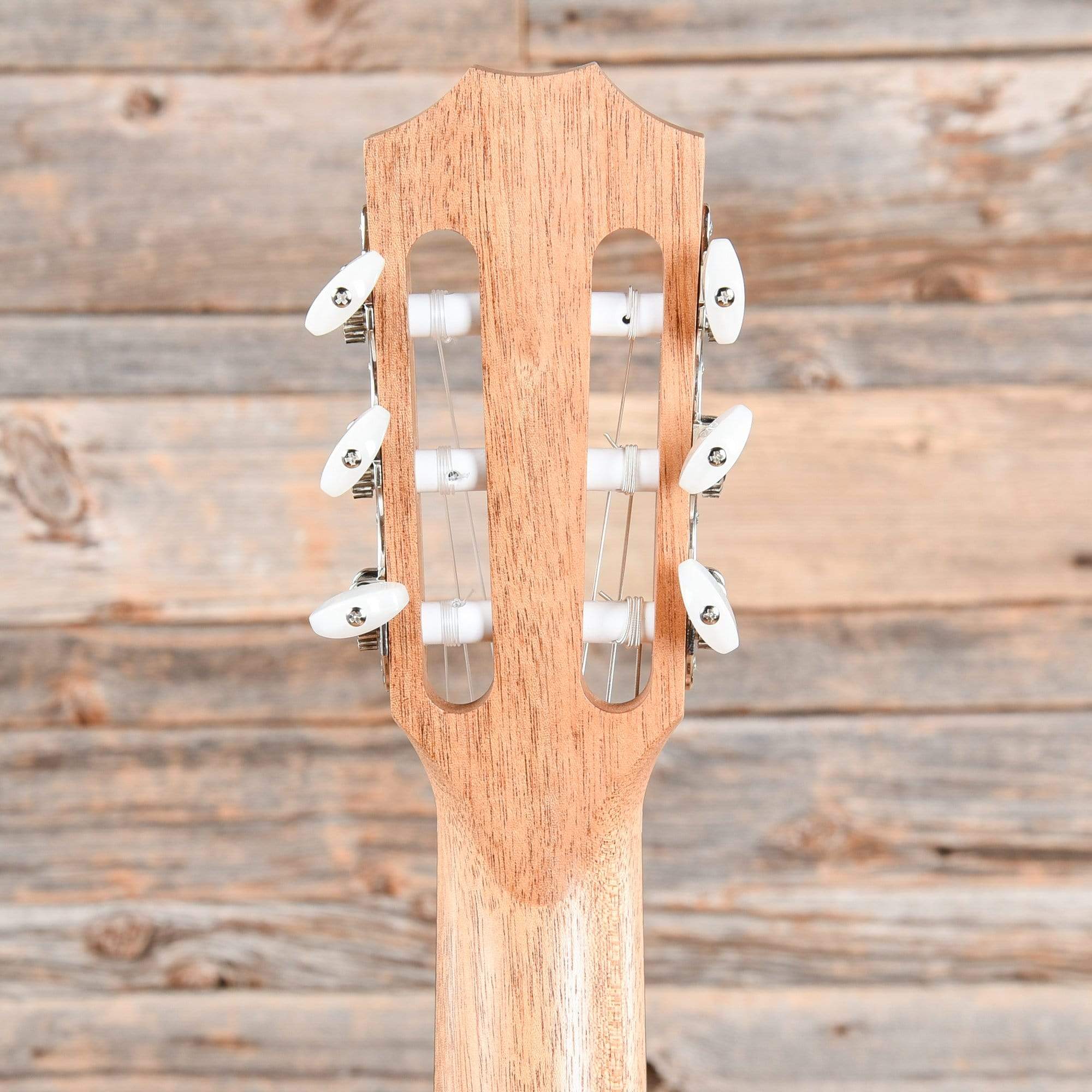 Taylor 114ce-N-SB Grand Auditorium Nylon Sitka/Walnut Satin Sunburst Top Acoustic Guitars / OM and Auditorium