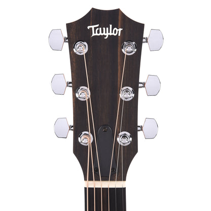 Taylor 212ce Grand Concert Torrified Spruce/Rosewood Natural ES2 Acoustic Guitars / OM and Auditorium