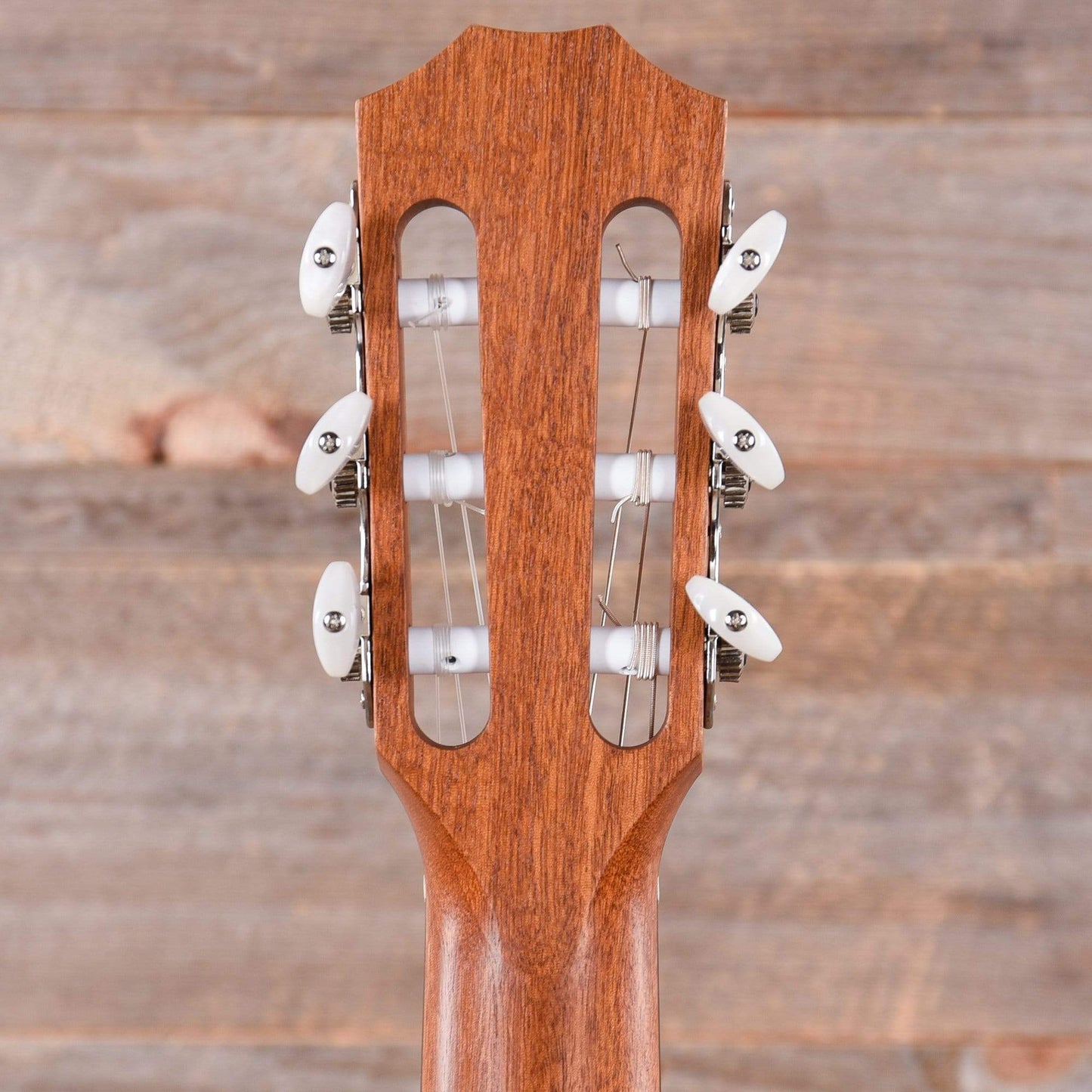 Taylor 214ce-N Grand Auditorium Sitka/Rosewood Natural ES-N Acoustic Guitars / OM and Auditorium