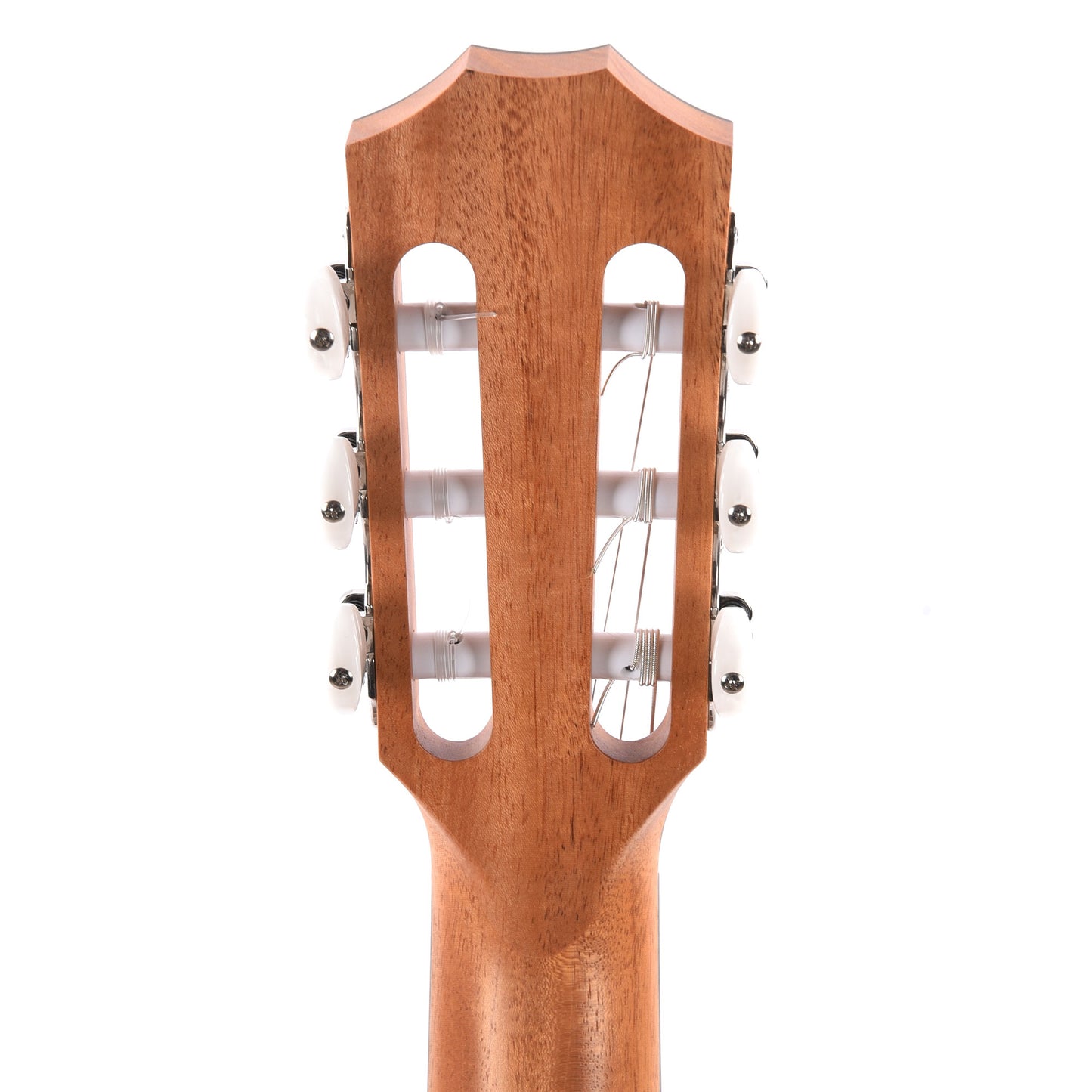 Taylor 214ce-N Grand Auditorium Torrified Spruce/Rosewood Natural ES2 Acoustic Guitars / OM and Auditorium