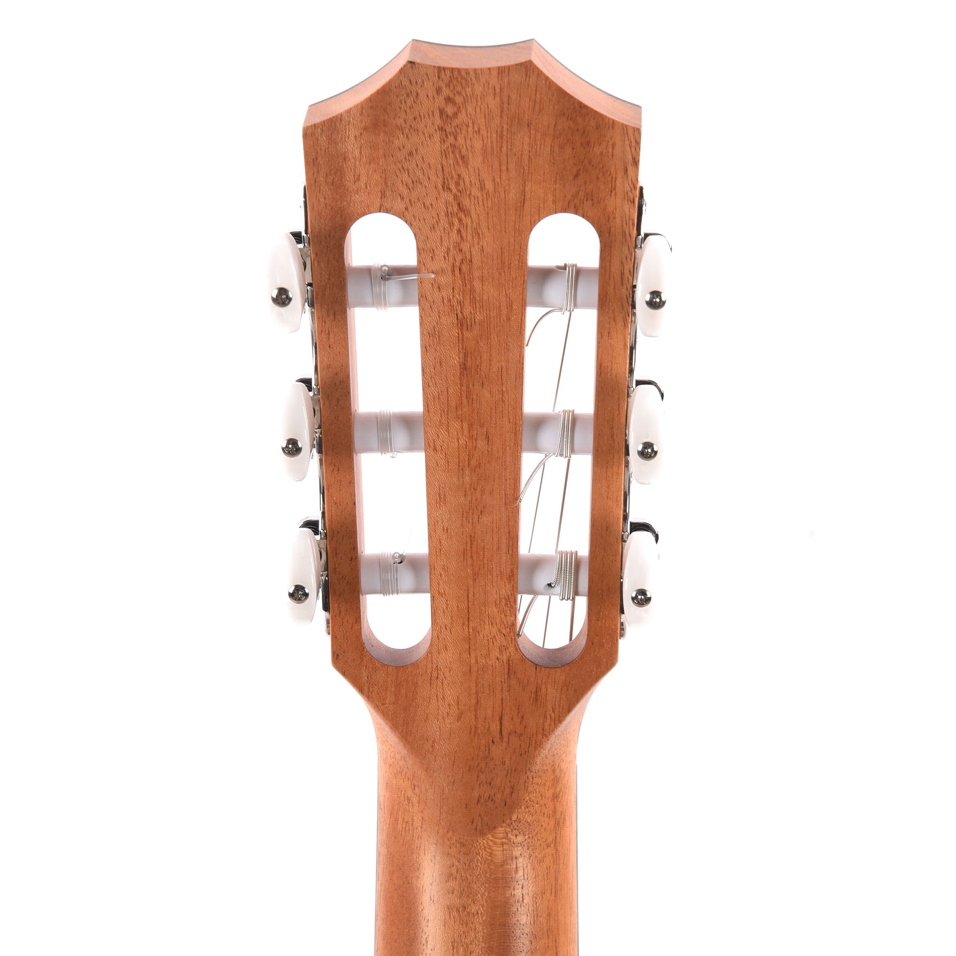 Taylor 214ce-N Grand Auditorium Torrified Spruce/Rosewood Natural ES2 Acoustic Guitars / OM and Auditorium