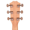 Taylor 214ce-SB Deluxe Sunburst Sitka/Rosewood ES2 Acoustic Guitars / OM and Auditorium