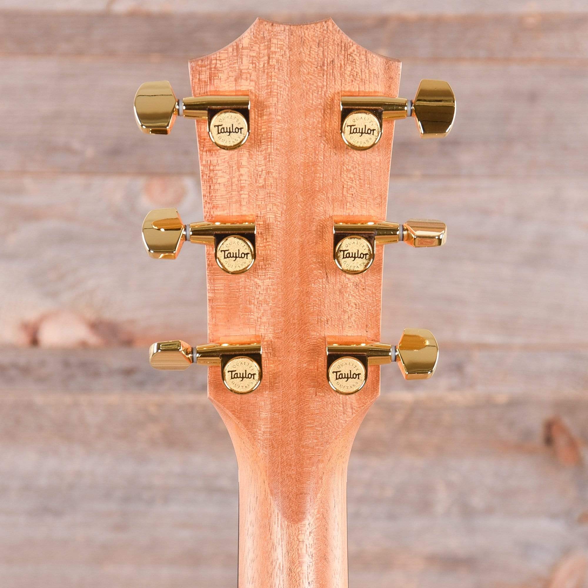 Taylor 214ce-SG Limited Grand Auditorium Spruce/Fumed Sweet Gum ES2 Acoustic Guitars / OM and Auditorium