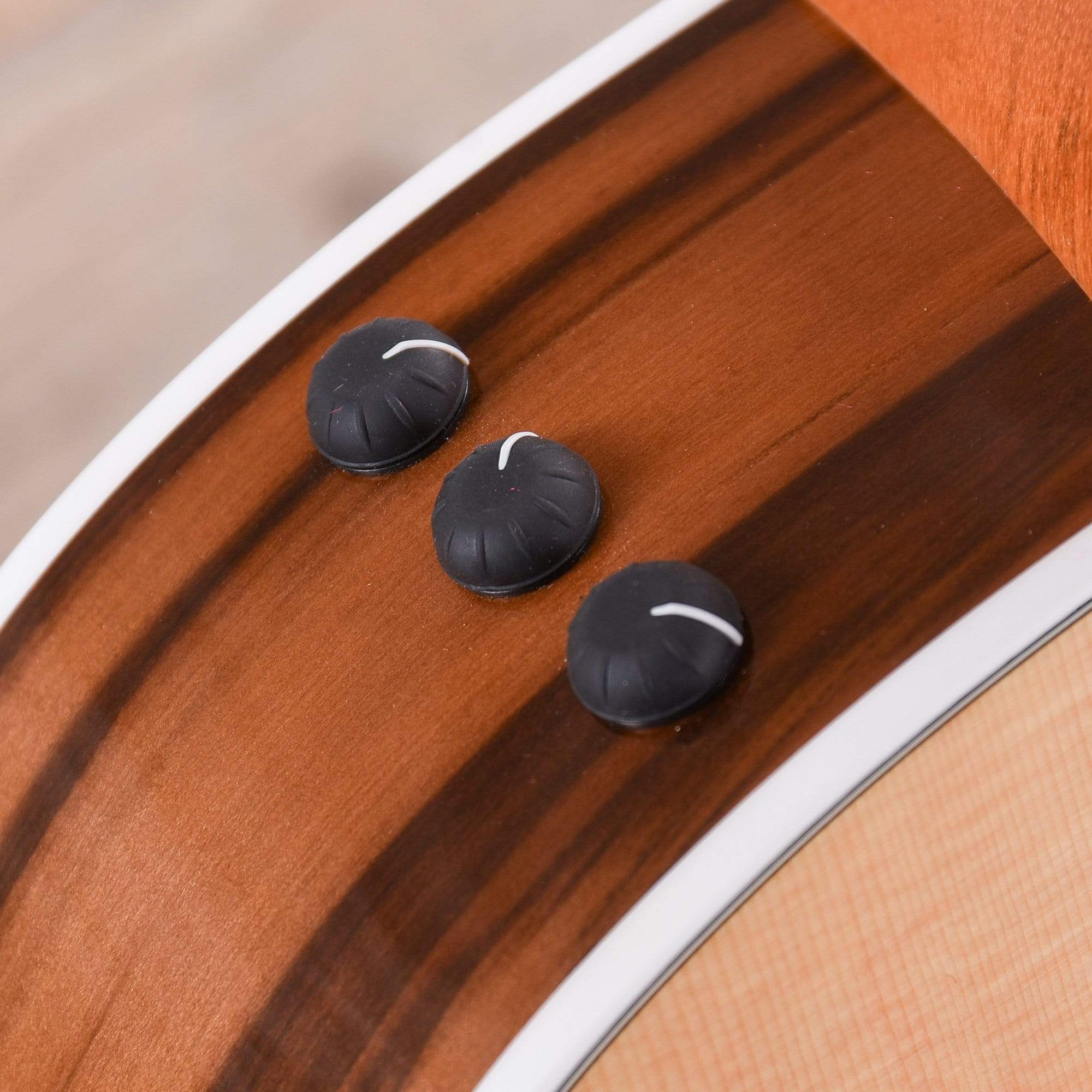 Taylor 214ce-SG Limited Grand Auditorium Spruce/Fumed Sweet Gum ES2 Acoustic Guitars / OM and Auditorium