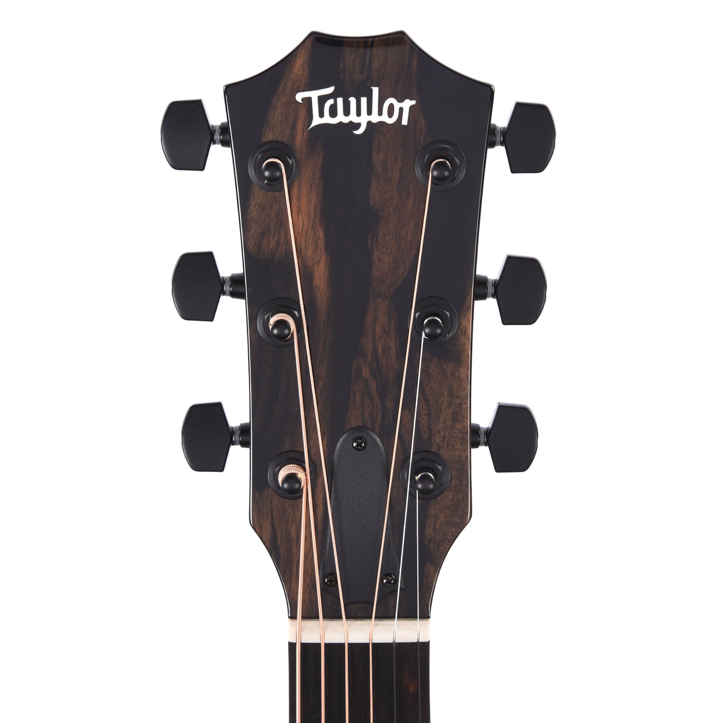 Taylor 217e-BLK Plus Grand Pacific Spruce/Big Leaf Maple Black Acoustic Guitars / OM and Auditorium
