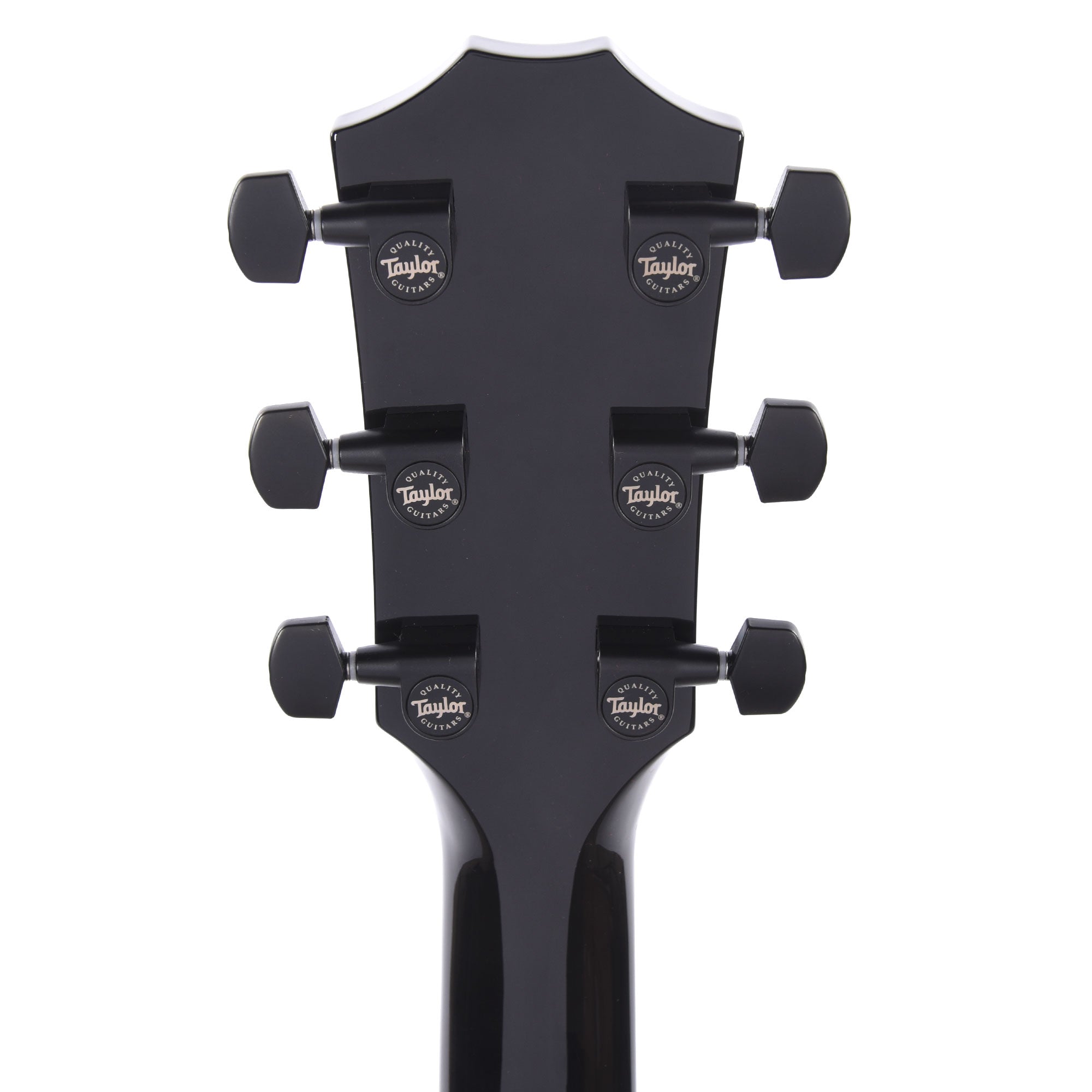 Taylor 217e-BLK Plus Grand Pacific Spruce/Big Leaf Maple Black Acoustic Guitars / OM and Auditorium