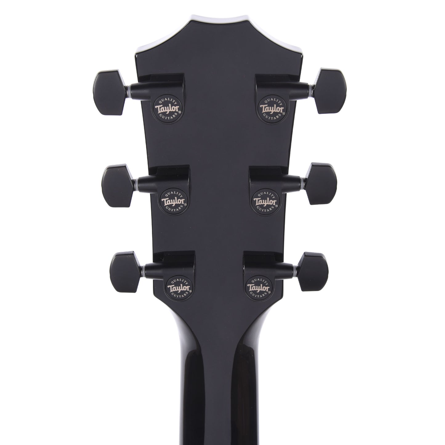 Taylor 217e-BLK Plus Grand Pacific Spruce/Big Leaf Maple Black Acoustic Guitars / OM and Auditorium