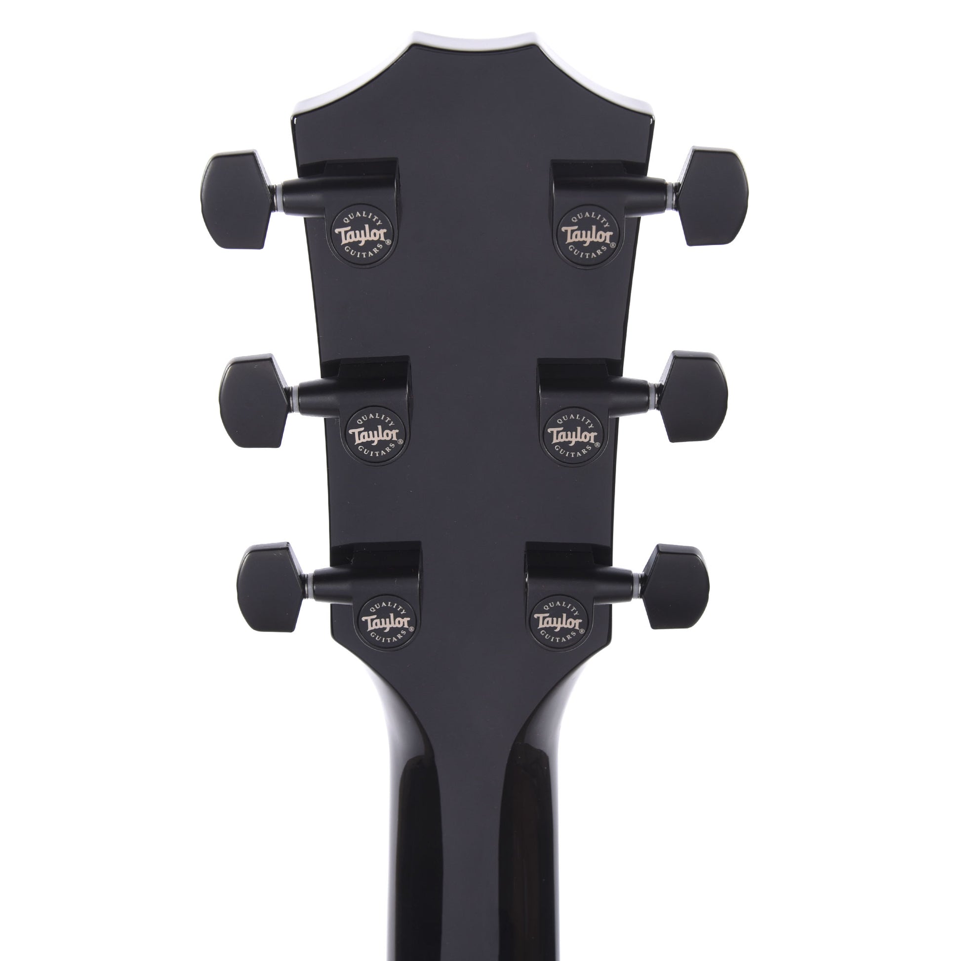 Taylor 217e-BLK Plus Grand Pacific Spruce/Big Leaf Maple Black Acoustic Guitars / OM and Auditorium
