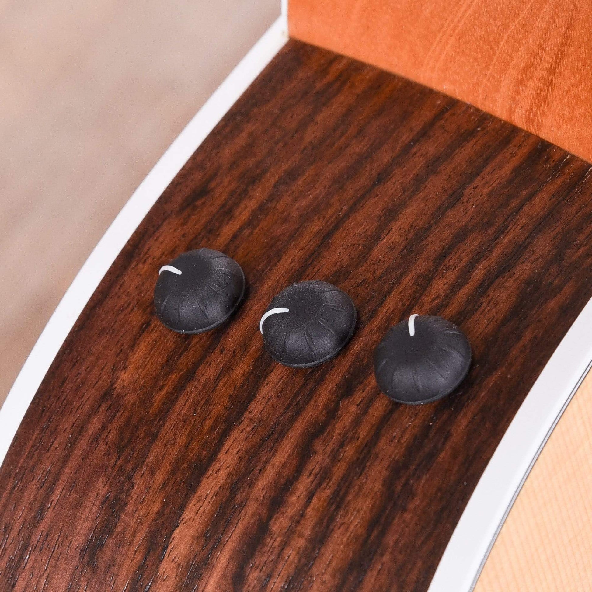 Taylor 254ce 12-String Grand Auditorium Sitka/Rosewood Natural ES2 Acoustic Guitars / OM and Auditorium