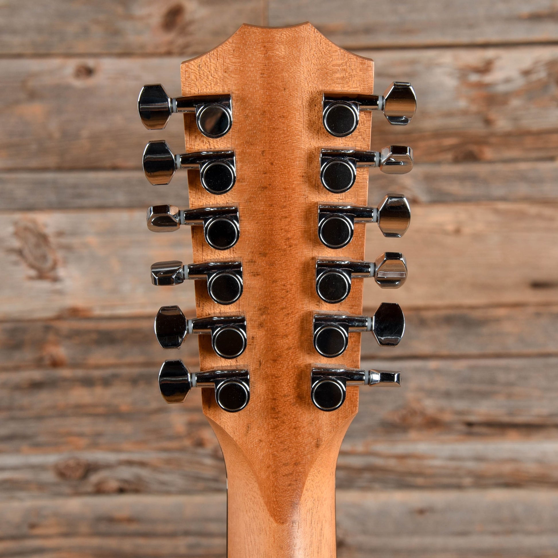 Taylor 254ce 12-String Natural Acoustic Guitars / OM and Auditorium