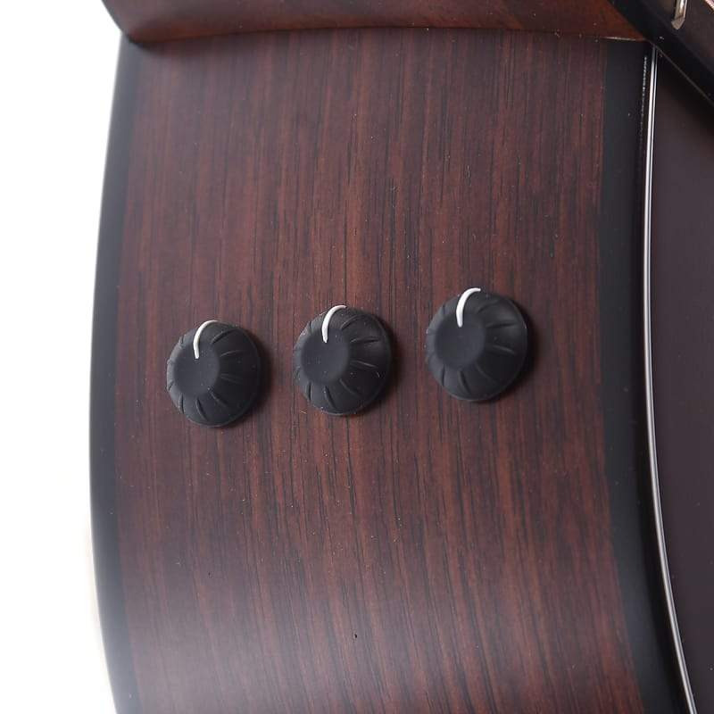 Taylor 324ce Grand Auditorium Tropical Mahogany/Tasmanian Blackwood Shaded Edgeburst ES2 w/V-Class Bracing Acoustic Guitars / OM and Auditorium