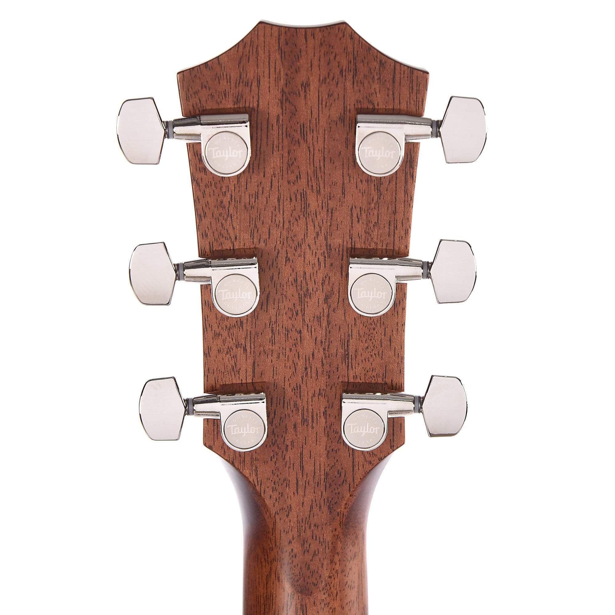 Taylor 324ce Grand Auditorium Tropical Mahogany/Tasmanian Blackwood Shaded Edgeburst w/V-Class Acoustic Guitars / OM and Auditorium