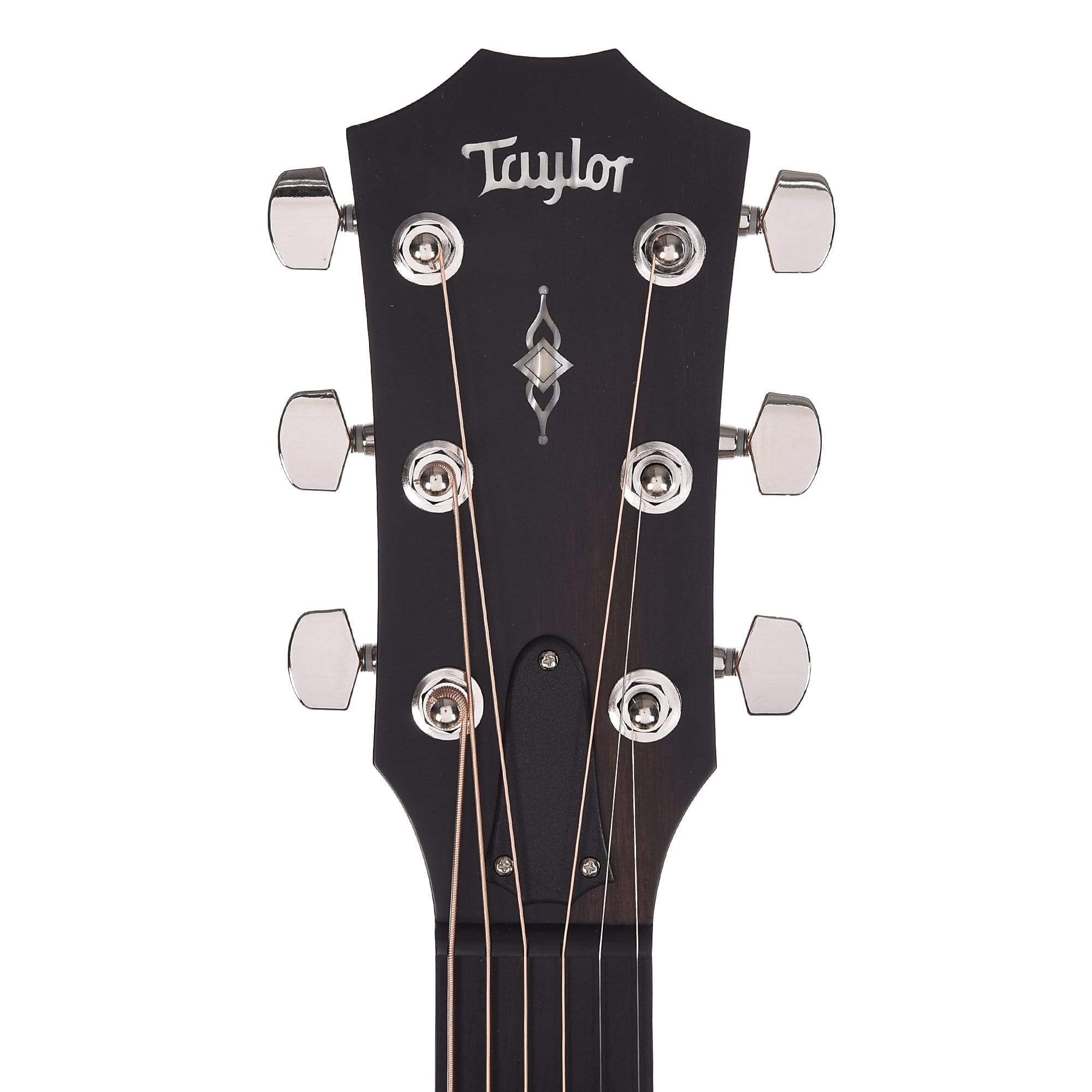 Taylor 324ce Grand Auditorium Tropical Mahogany/Tasmanian Blackwood Shaded Edgeburst w/V-Class Acoustic Guitars / OM and Auditorium