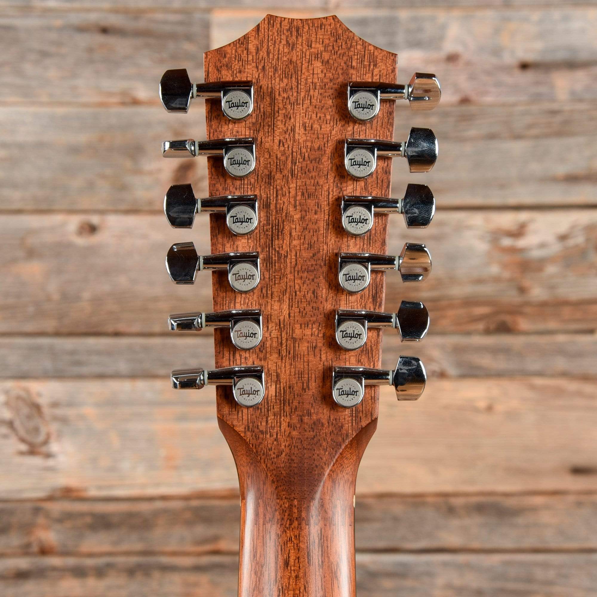 Taylor 354ce Natural Acoustic Guitars / OM and Auditorium