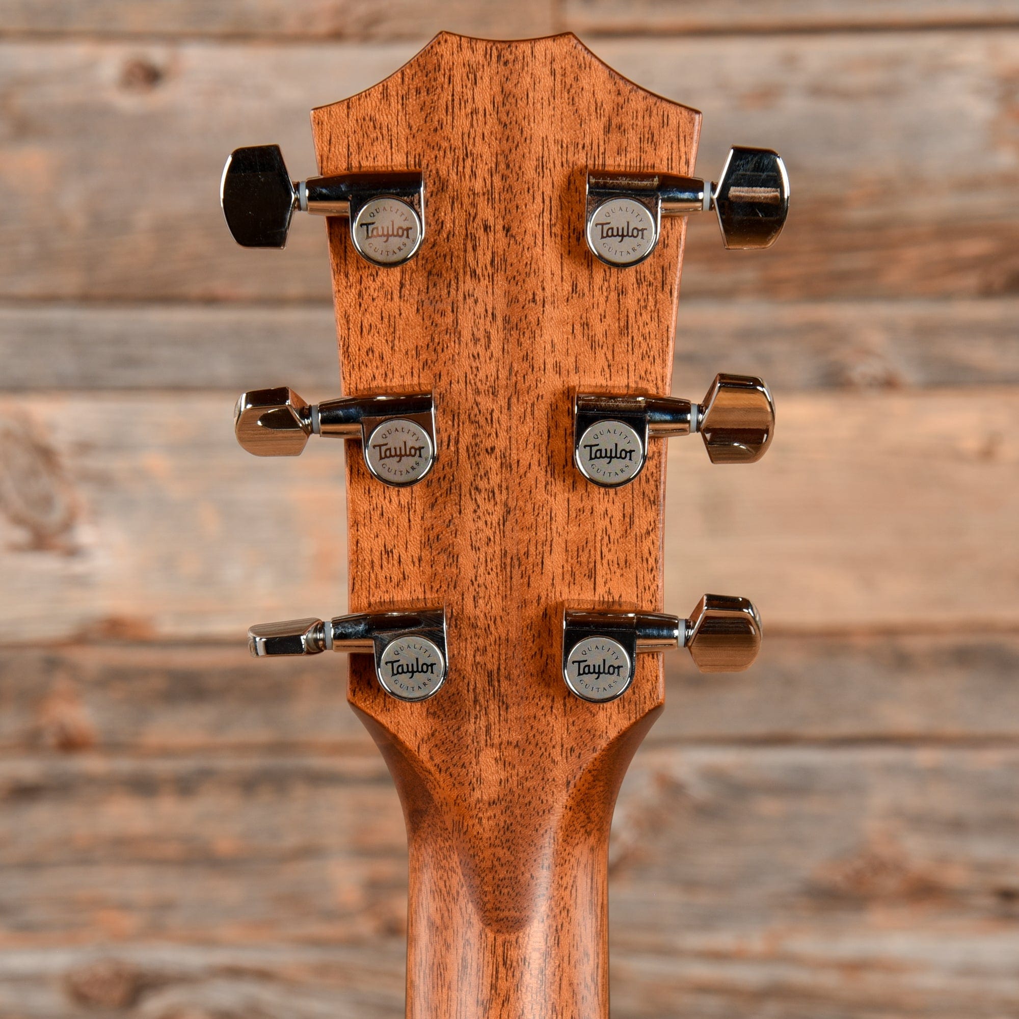 Taylor 514ce Natural Acoustic Guitars / OM and Auditorium