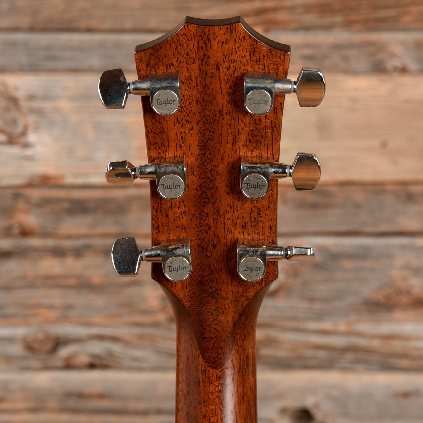 Taylor 514e Natural Acoustic Guitars / OM and Auditorium