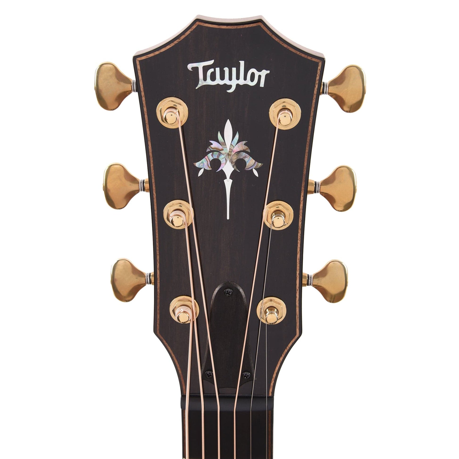Taylor 914ce Grand Auditorium Sitka/Rosewood ES2 Acoustic Guitars / OM and Auditorium
