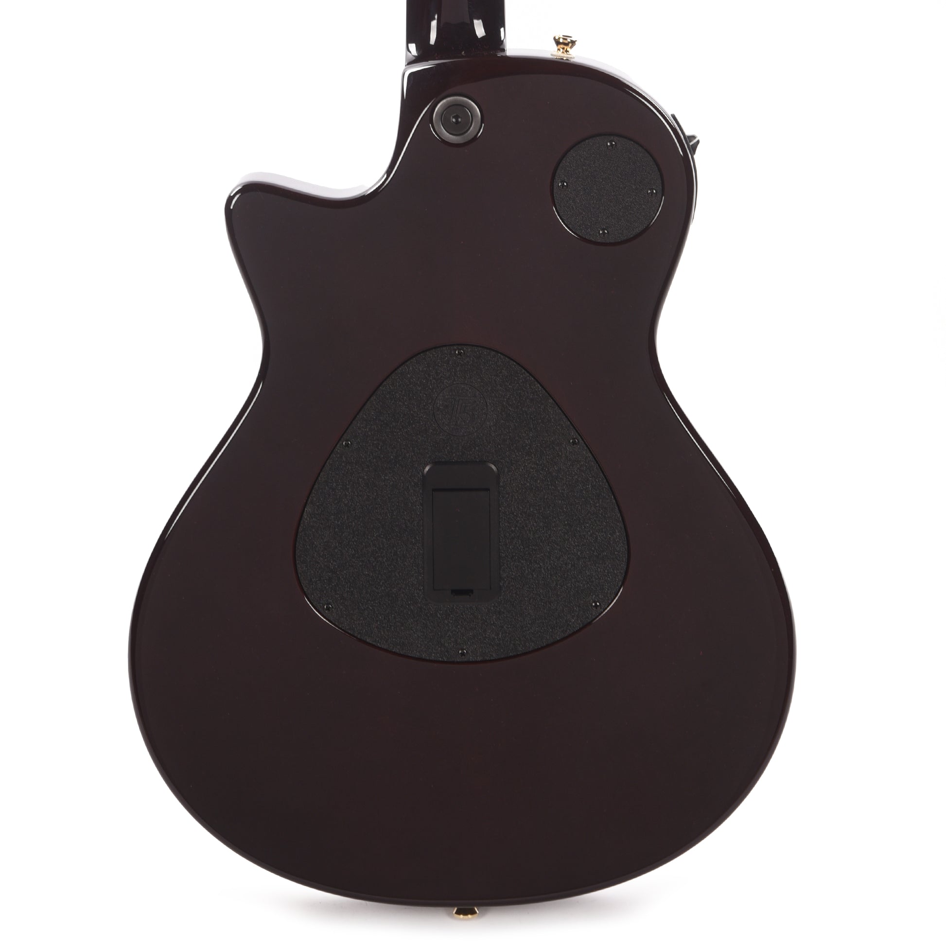 Taylor Custom "The Catch" NAMM 2024 #24 T5z Walnut/Urban Ash Shaded Edgeburst w/Armrest Acoustic Guitars / OM and Auditorium