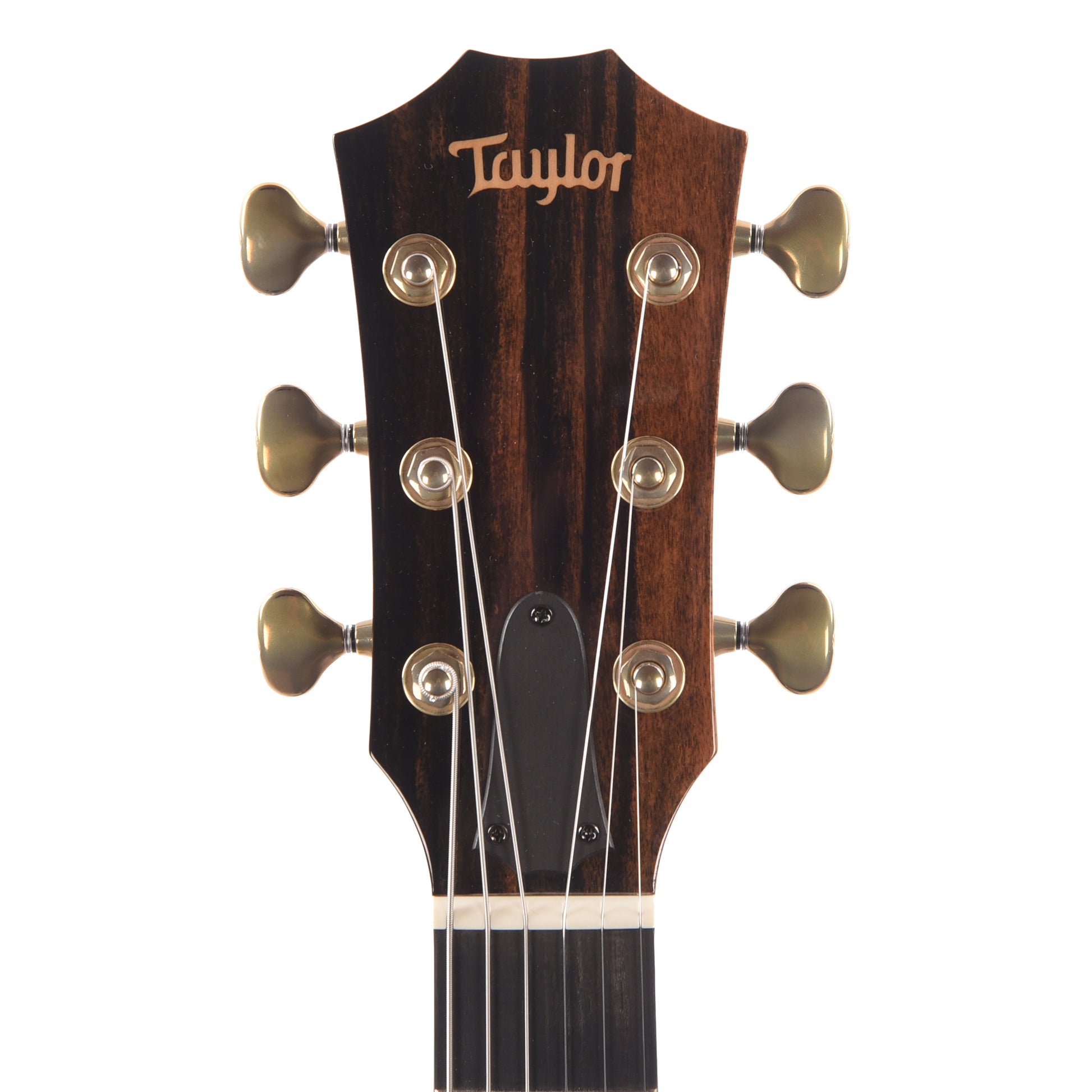 Taylor Custom "The Catch" NAMM 2024 #24 T5z Walnut/Urban Ash Shaded Edgeburst w/Armrest Acoustic Guitars / OM and Auditorium
