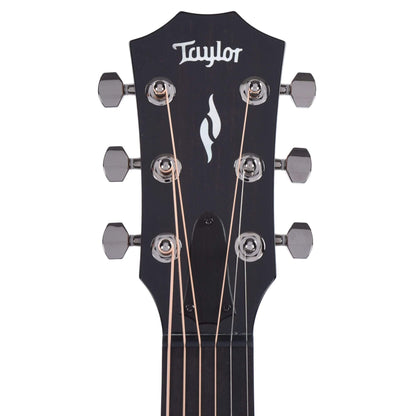 Taylor GT 811 Sitka/Rosewood Natural Acoustic Guitars / OM and Auditorium
