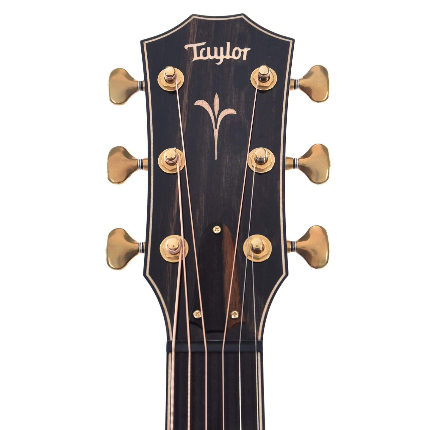 Taylor K24e Grand Auditorium Hawaiian Koa w/V-Class Bracing Acoustic Guitars / OM and Auditorium