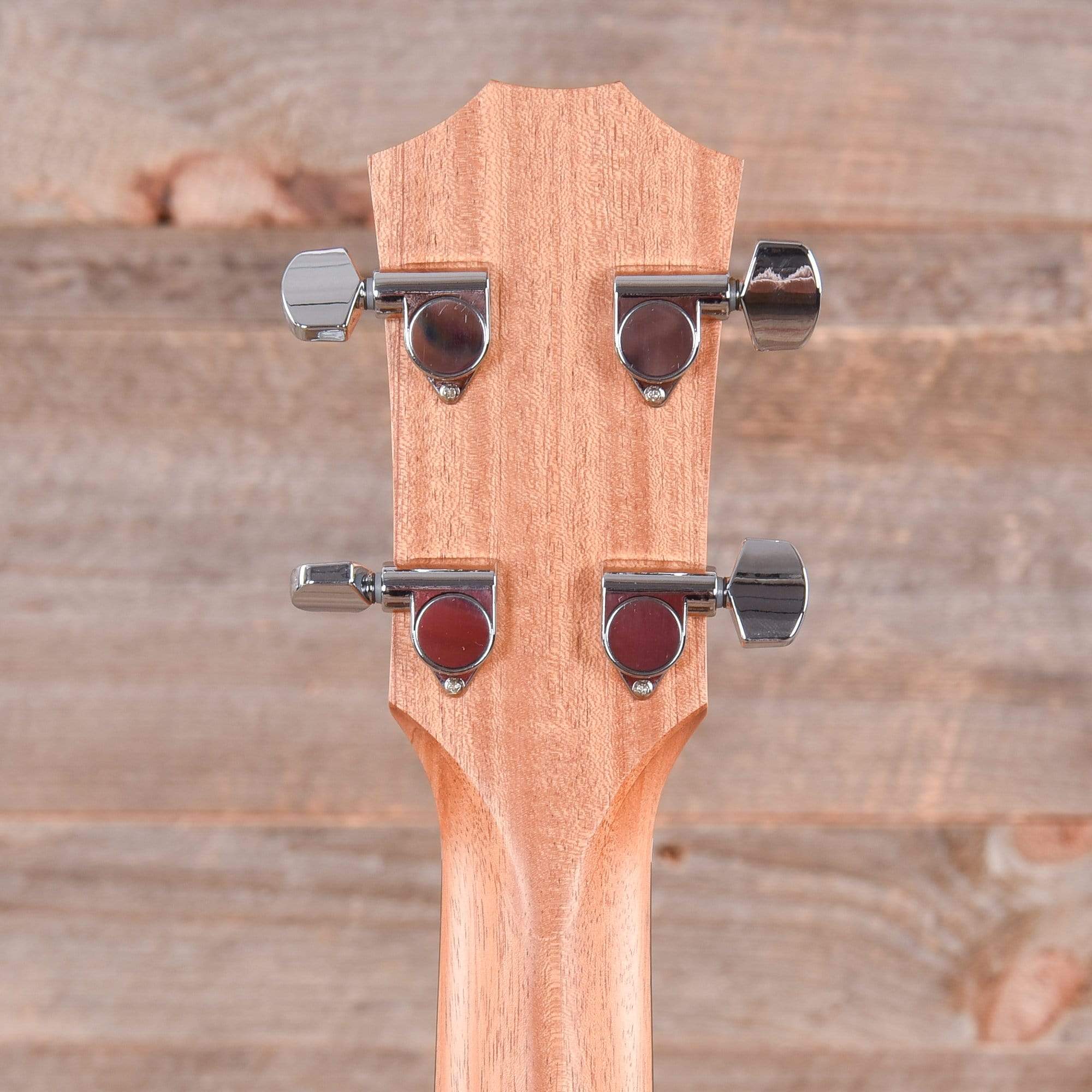 Taylor GS Mini-e Bass ES-B Tropical Mahogany Neck Bass Guitars / Acoustic Bass Guitars