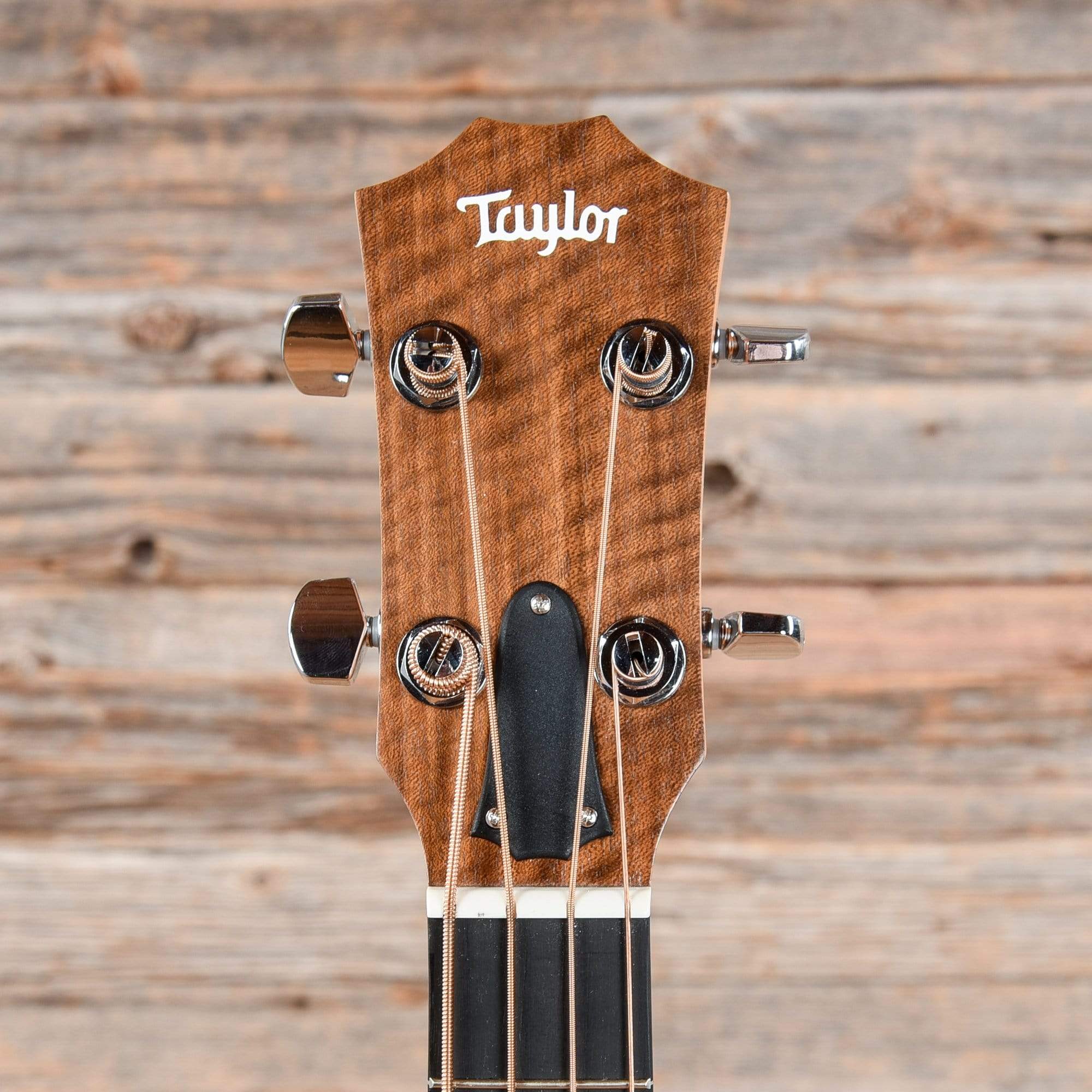 Taylor GS Mini-e Bass ES-B Tropical Mahogany Neck Bass Guitars / Acoustic Bass Guitars