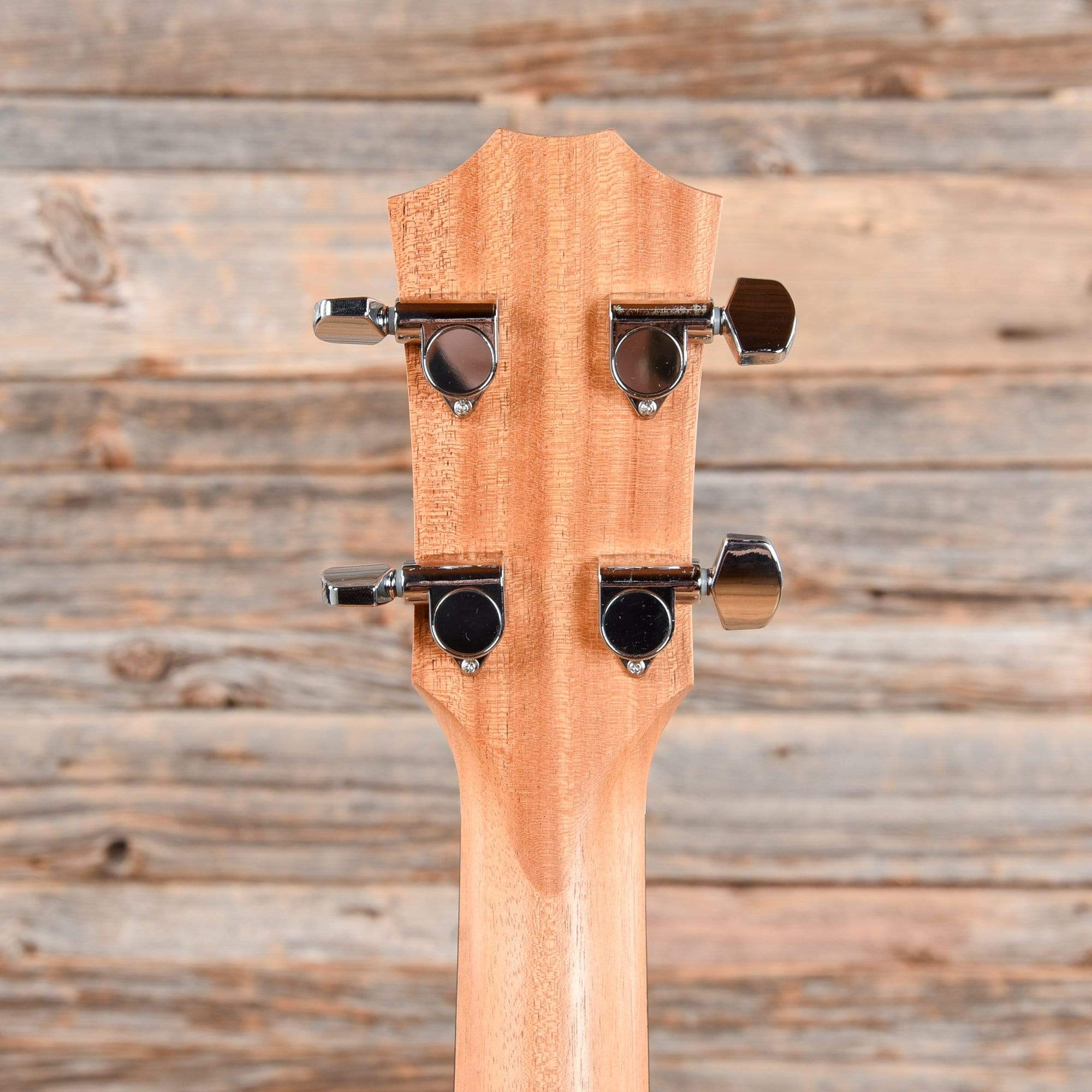 Taylor GS Mini-e Bass ES-B Tropical Mahogany Neck Bass Guitars / Acoustic Bass Guitars