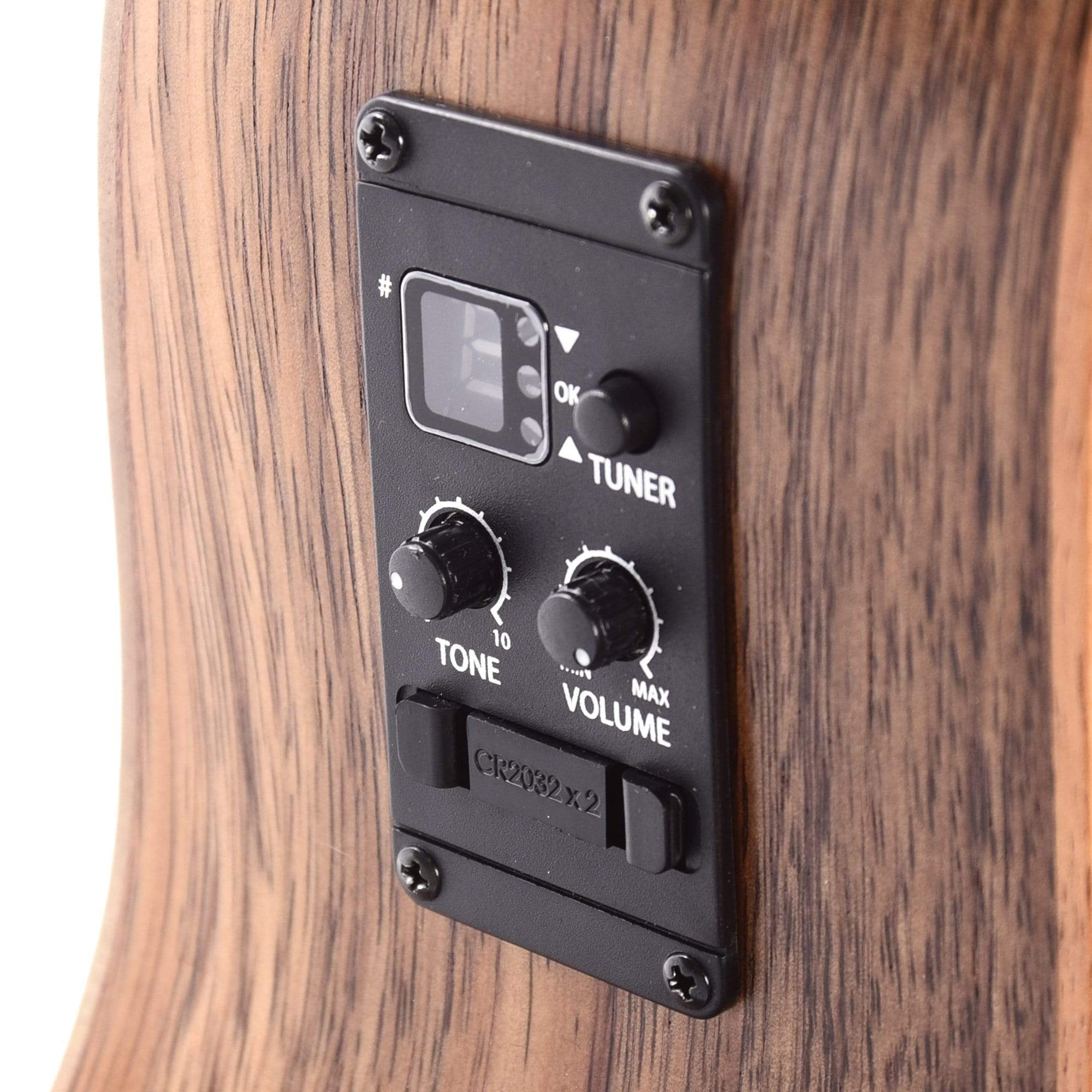 Taylor GS Mini-e Koa Bass ES2 Bass Guitars / Acoustic Bass Guitars