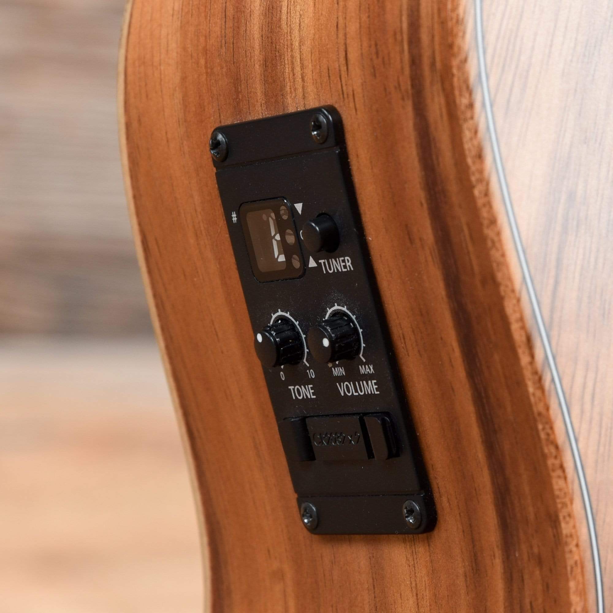 Taylor GS Mini-e Koa Bass ES2 Bass Guitars / Acoustic Bass Guitars